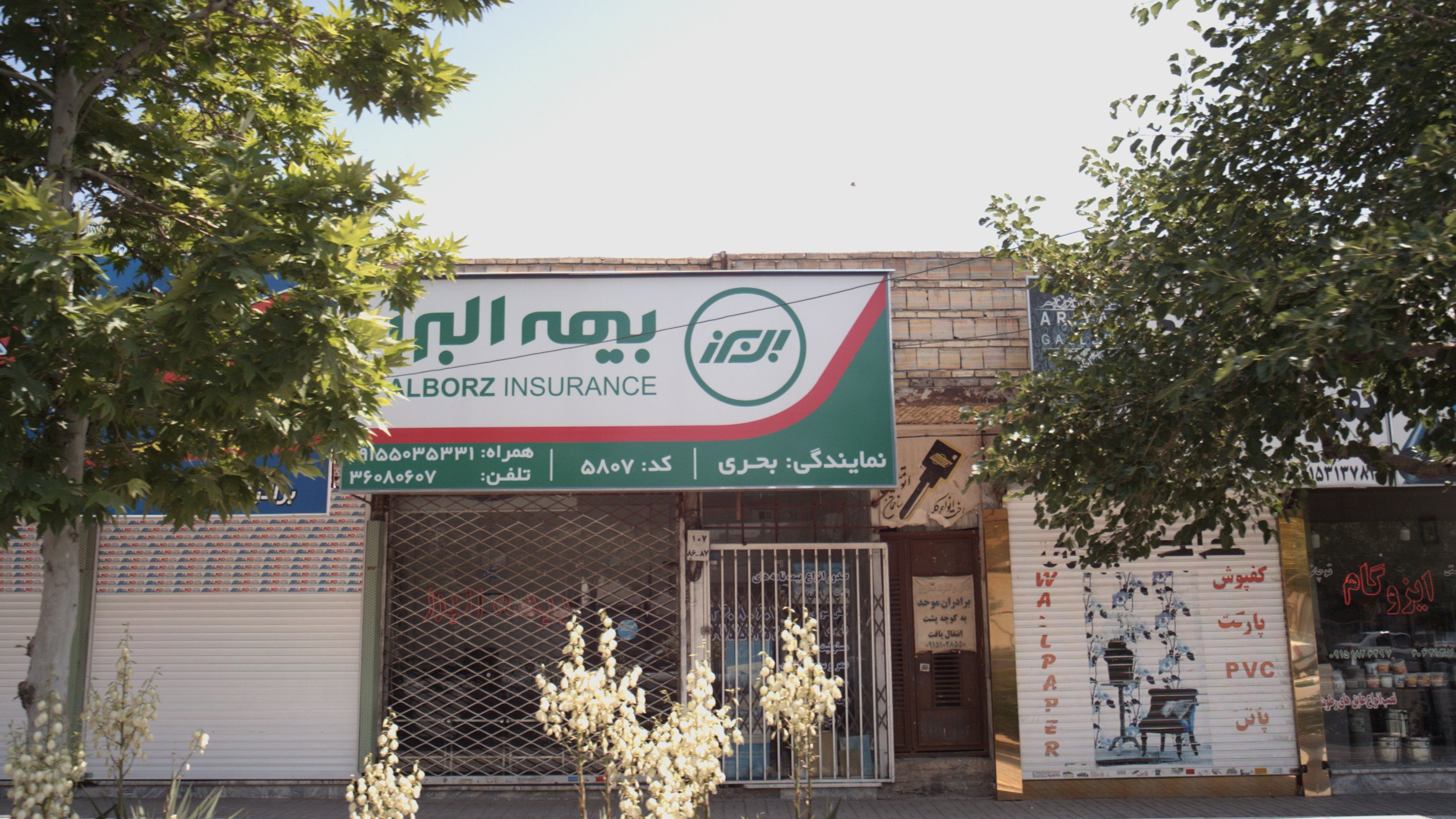 بیمه البرز