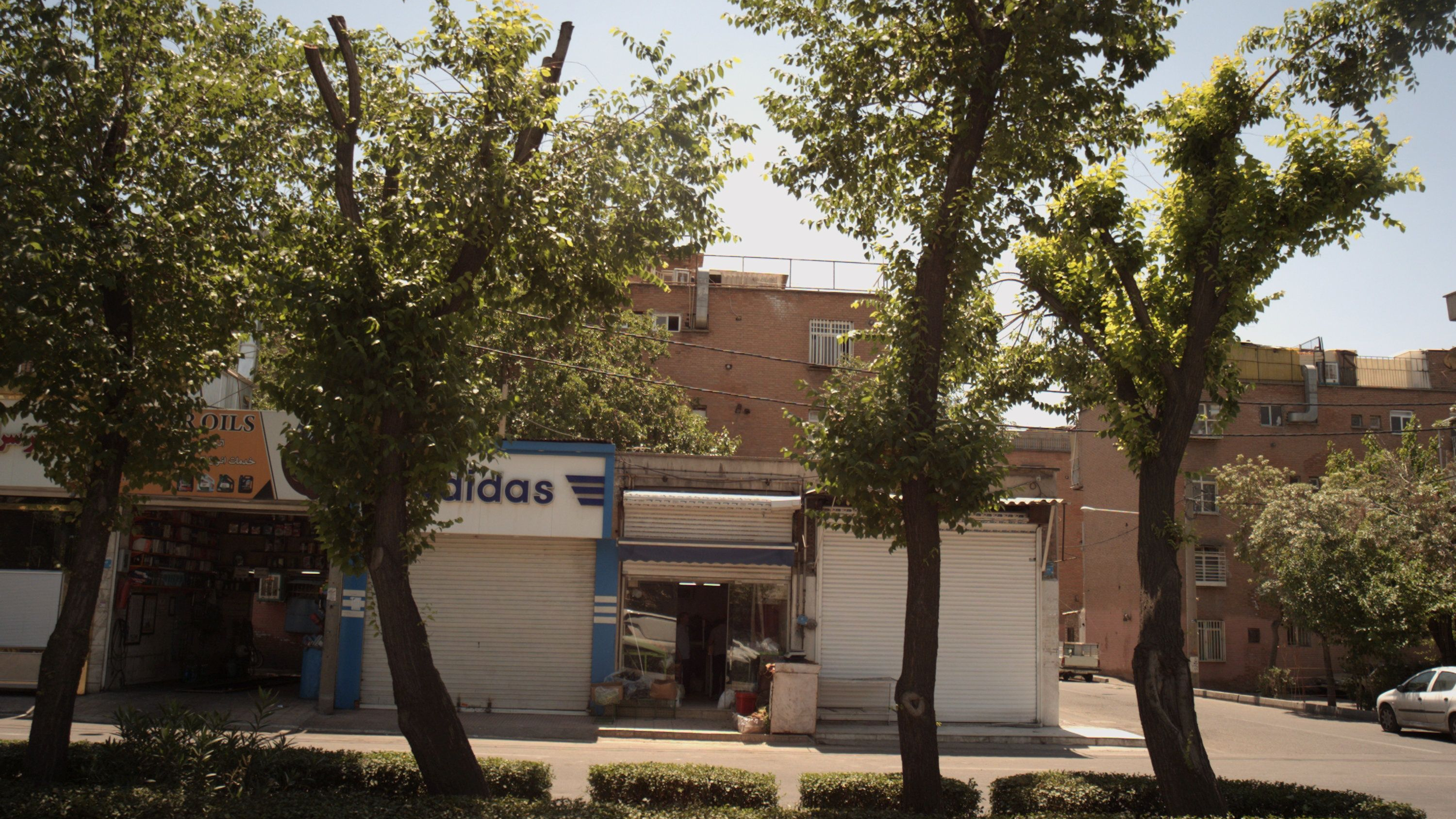 میوه فروشی