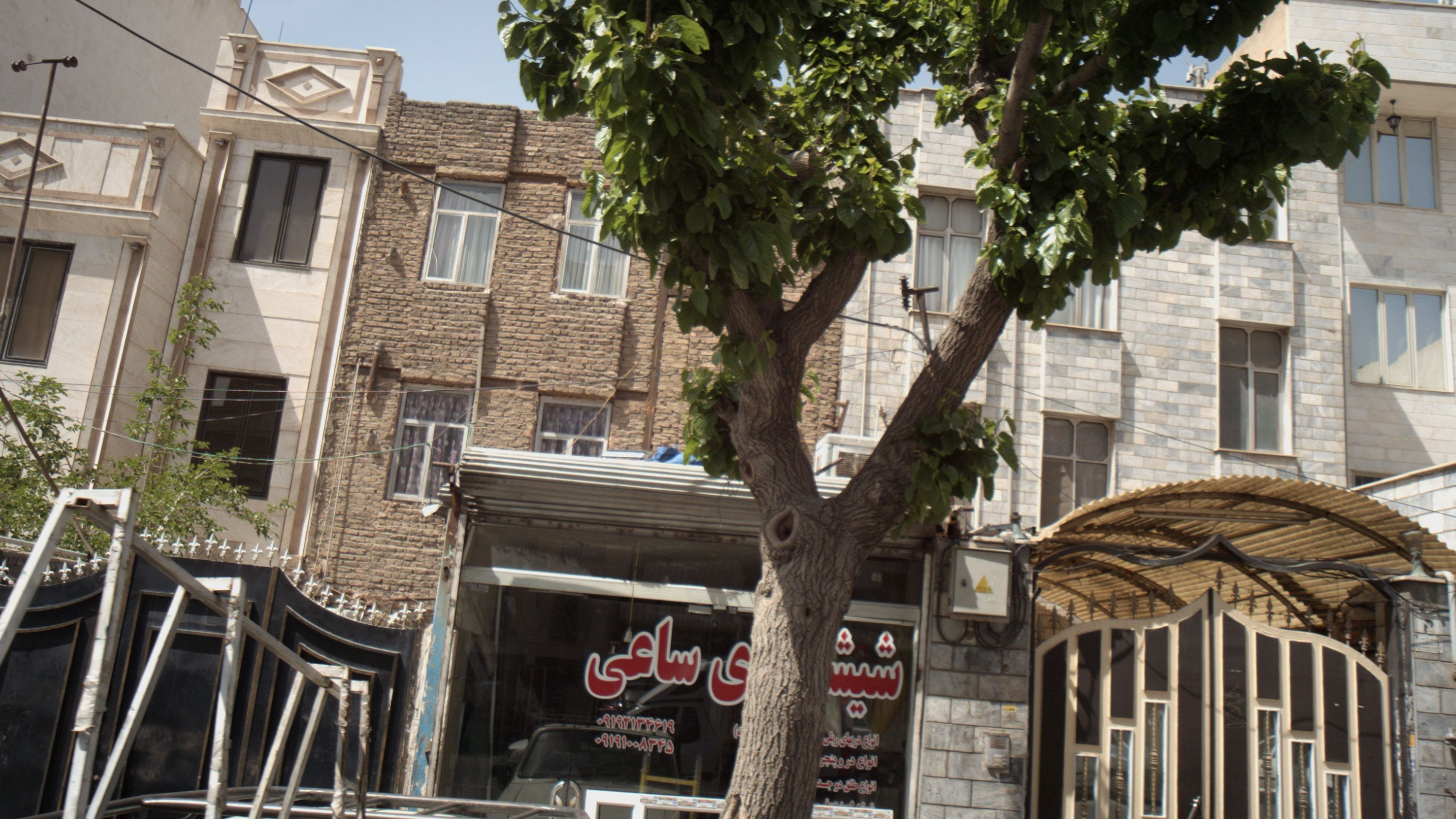 شیشه بری ساعی