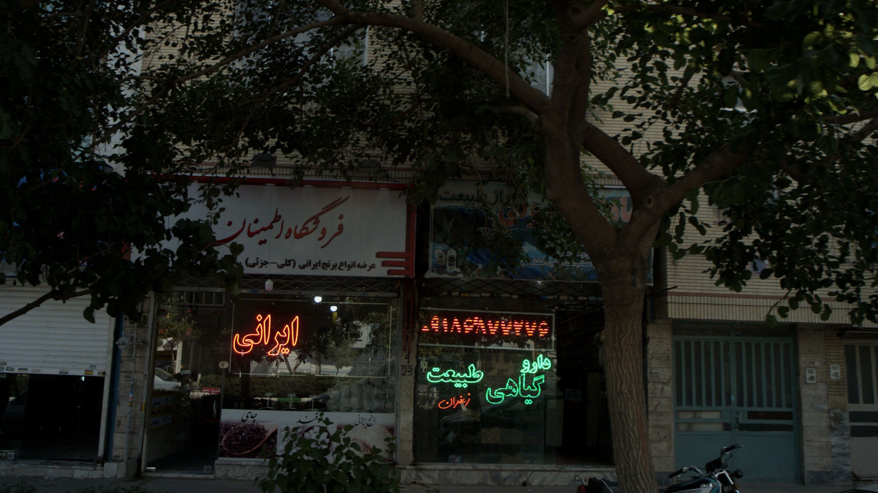 گیاهان دارویی