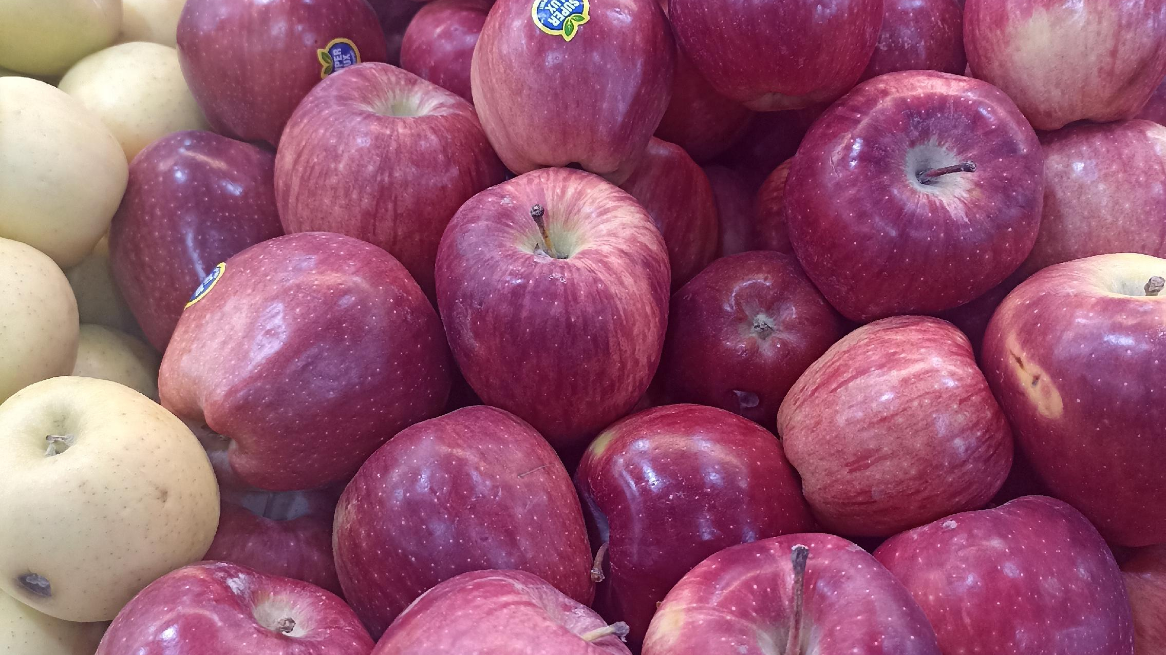 میوه فروشی سما