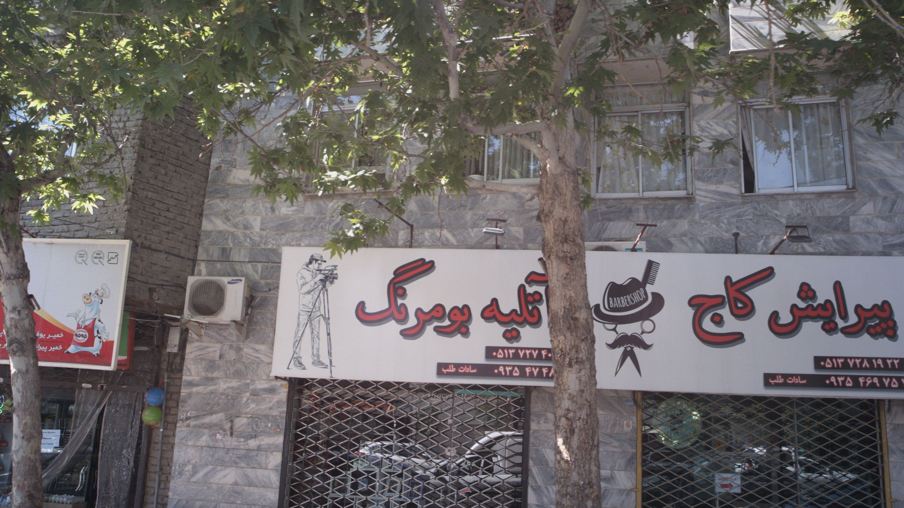 پیرایش کاج
