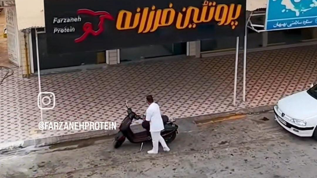 پروتئین فرزانه