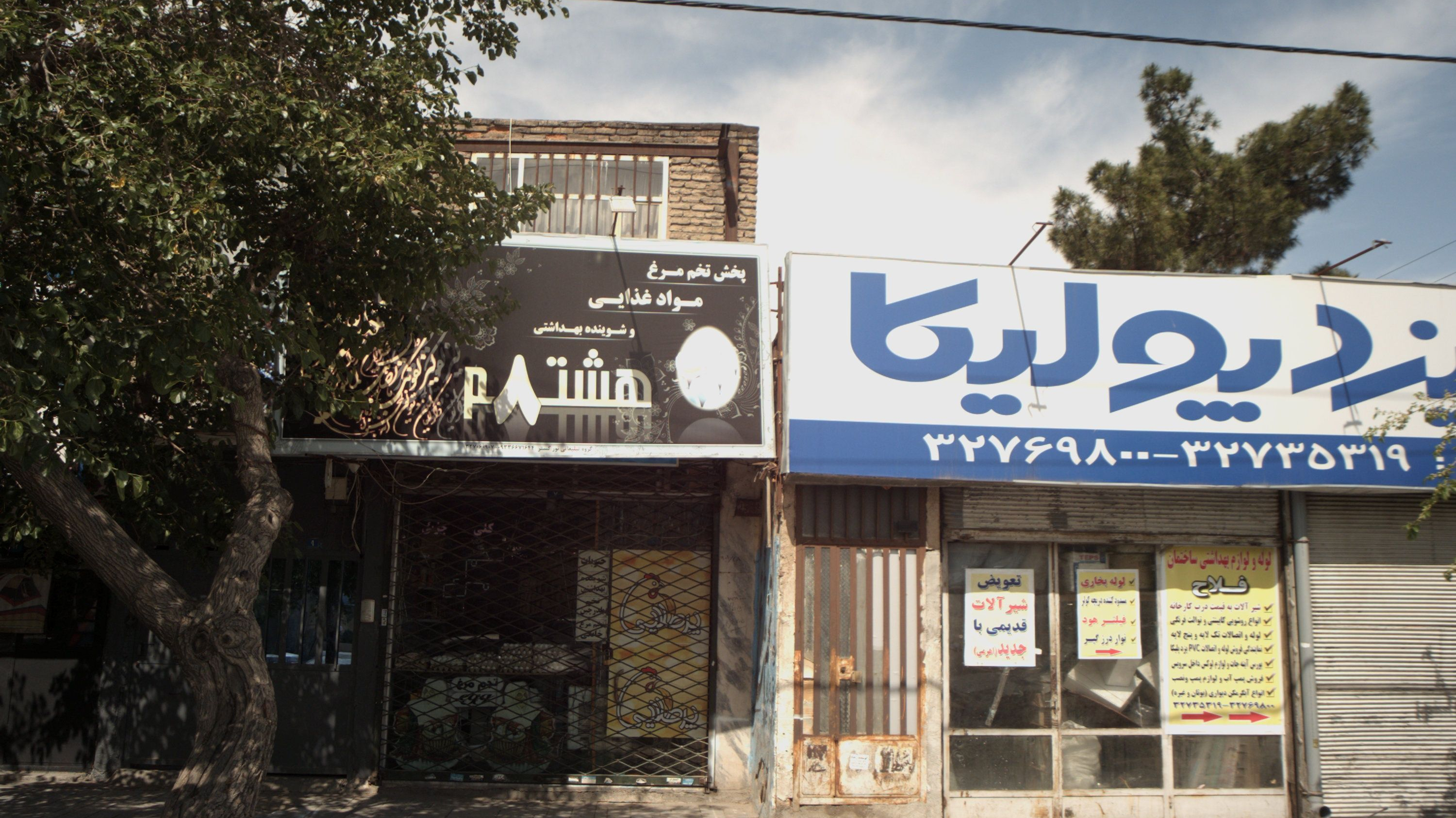 پخش تخم مرف مواد غذایی و شوینده بهداشتی هشتم