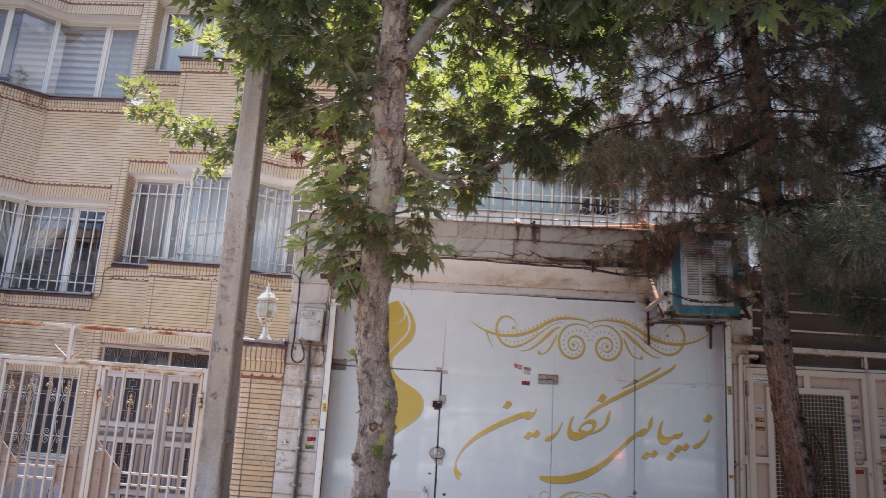 زیبایی نگارین