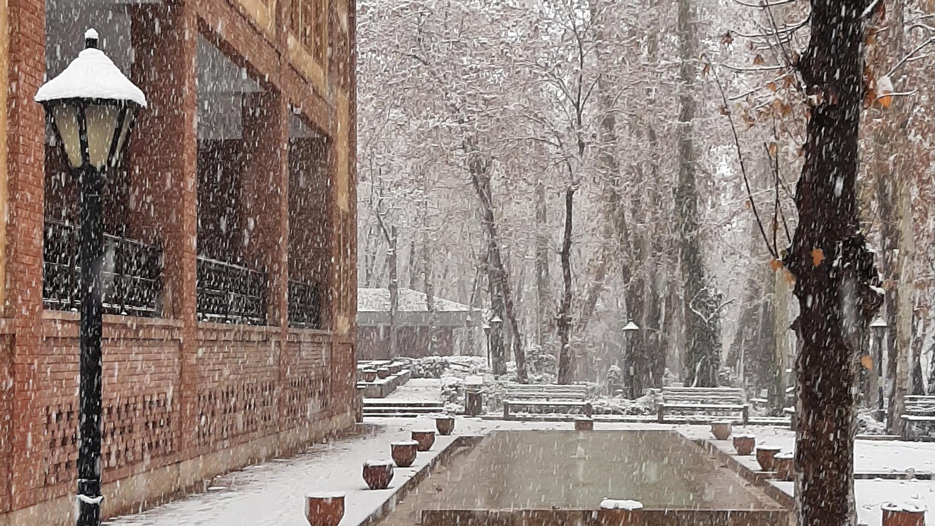 بوستان باغ ایرانی