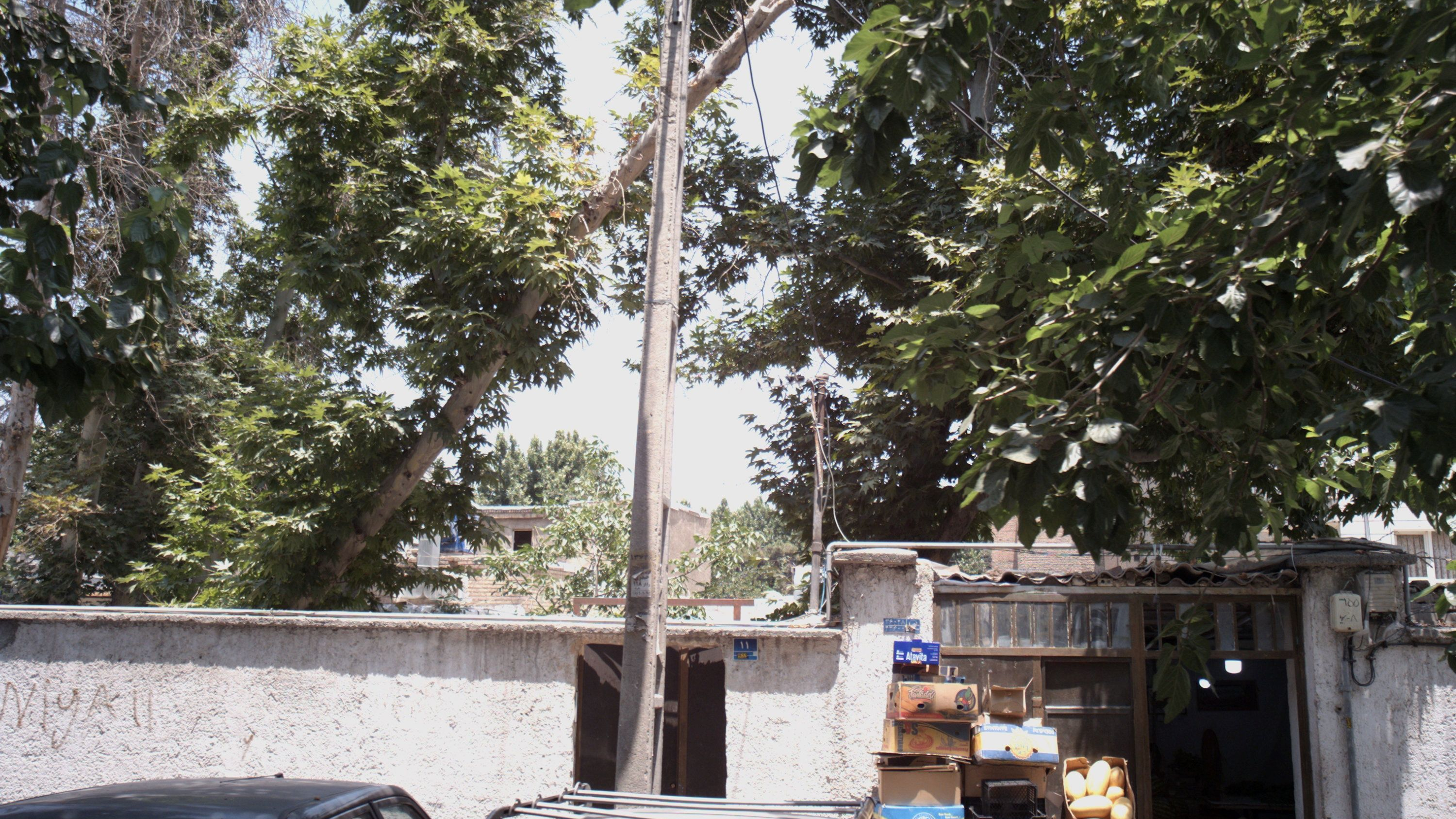 میوه فروشی