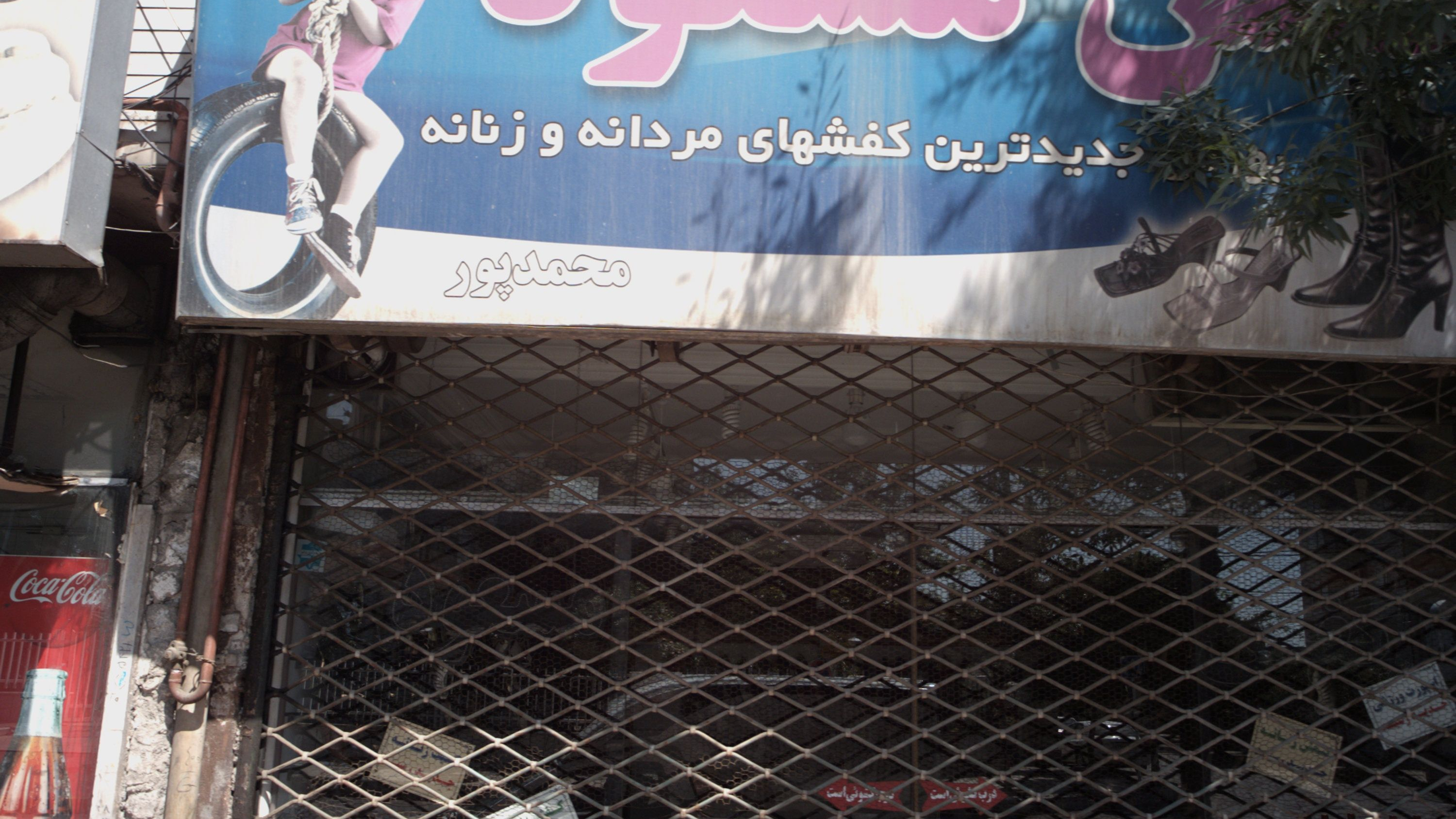 کفش مسعود