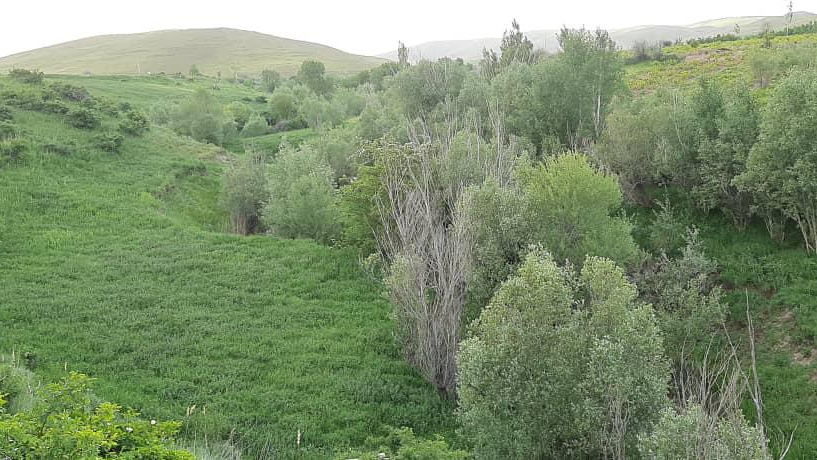 پارک جنگلی خوشنام