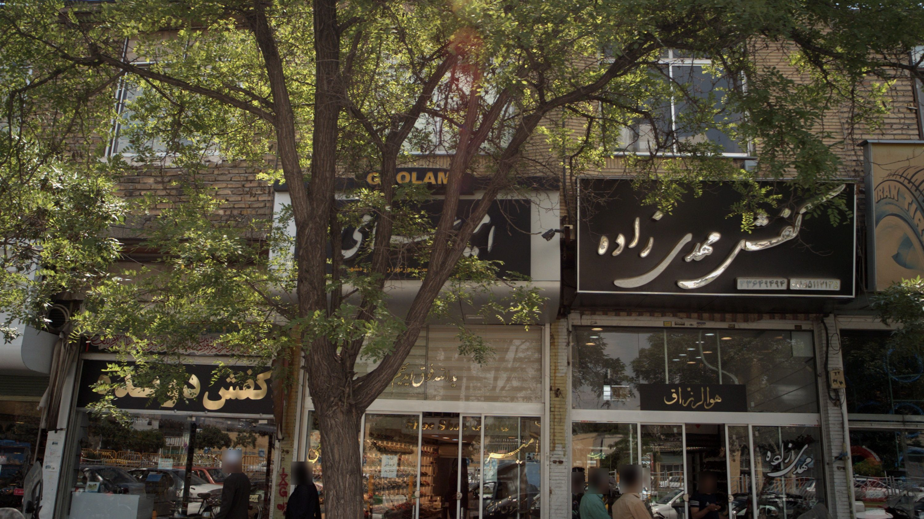 کفش مهدی زاده