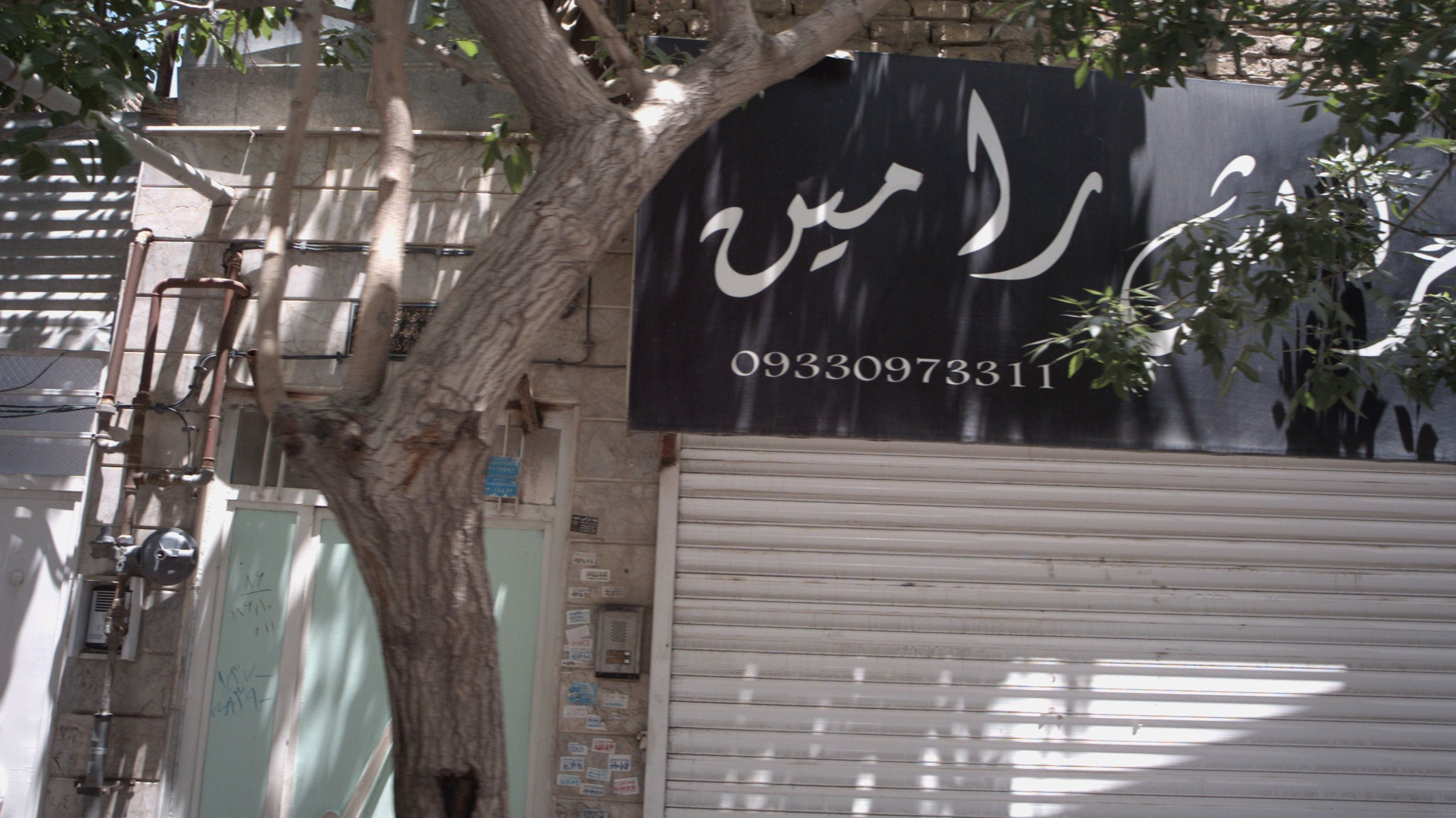 پیرایش رامین