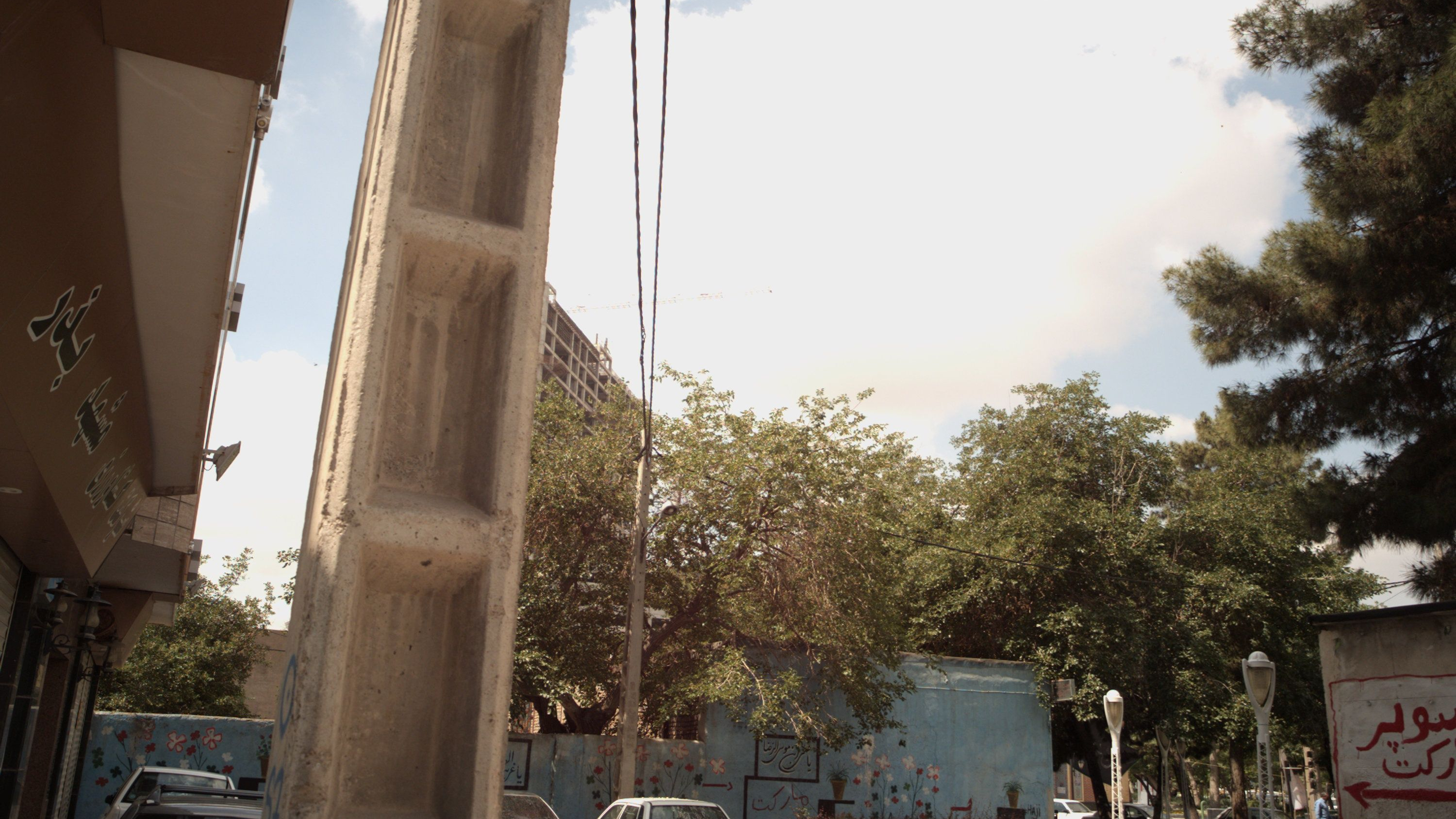 شرکت کشاورزی مشهد بذر