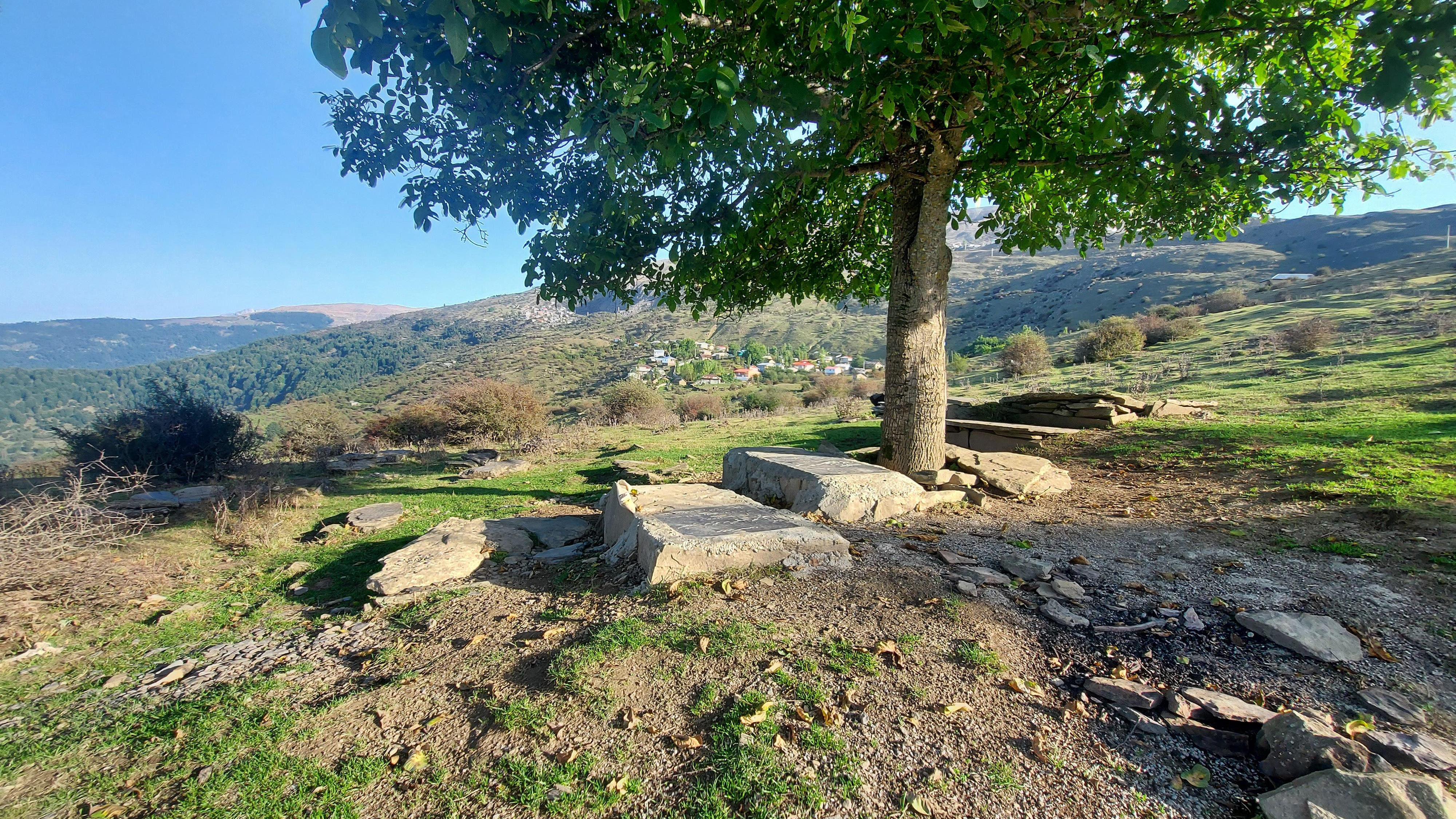 قبرستان گلم بزه دار