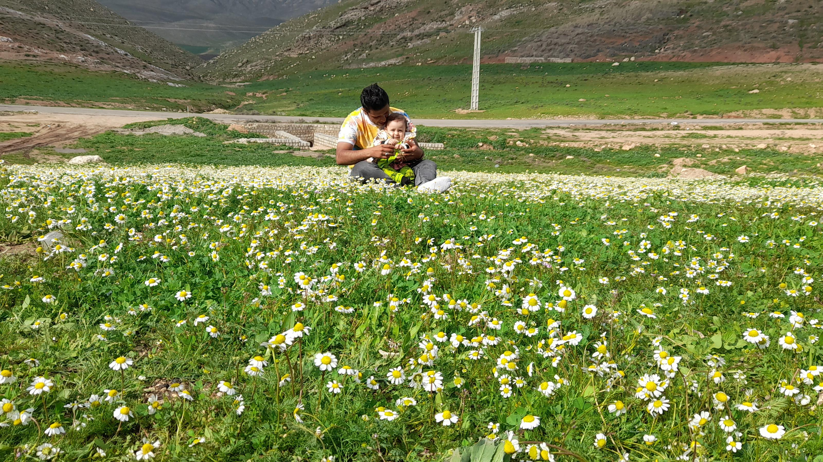 پارک جنگلی کونانی