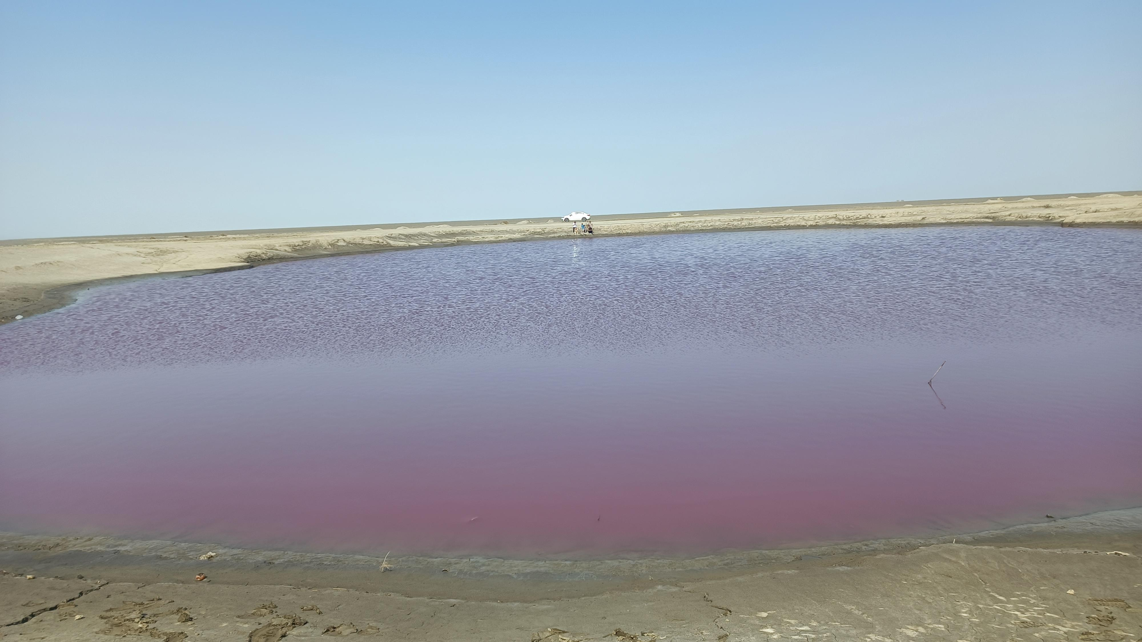 نفتلجه گل فشان گمیشان چشمه نفتی