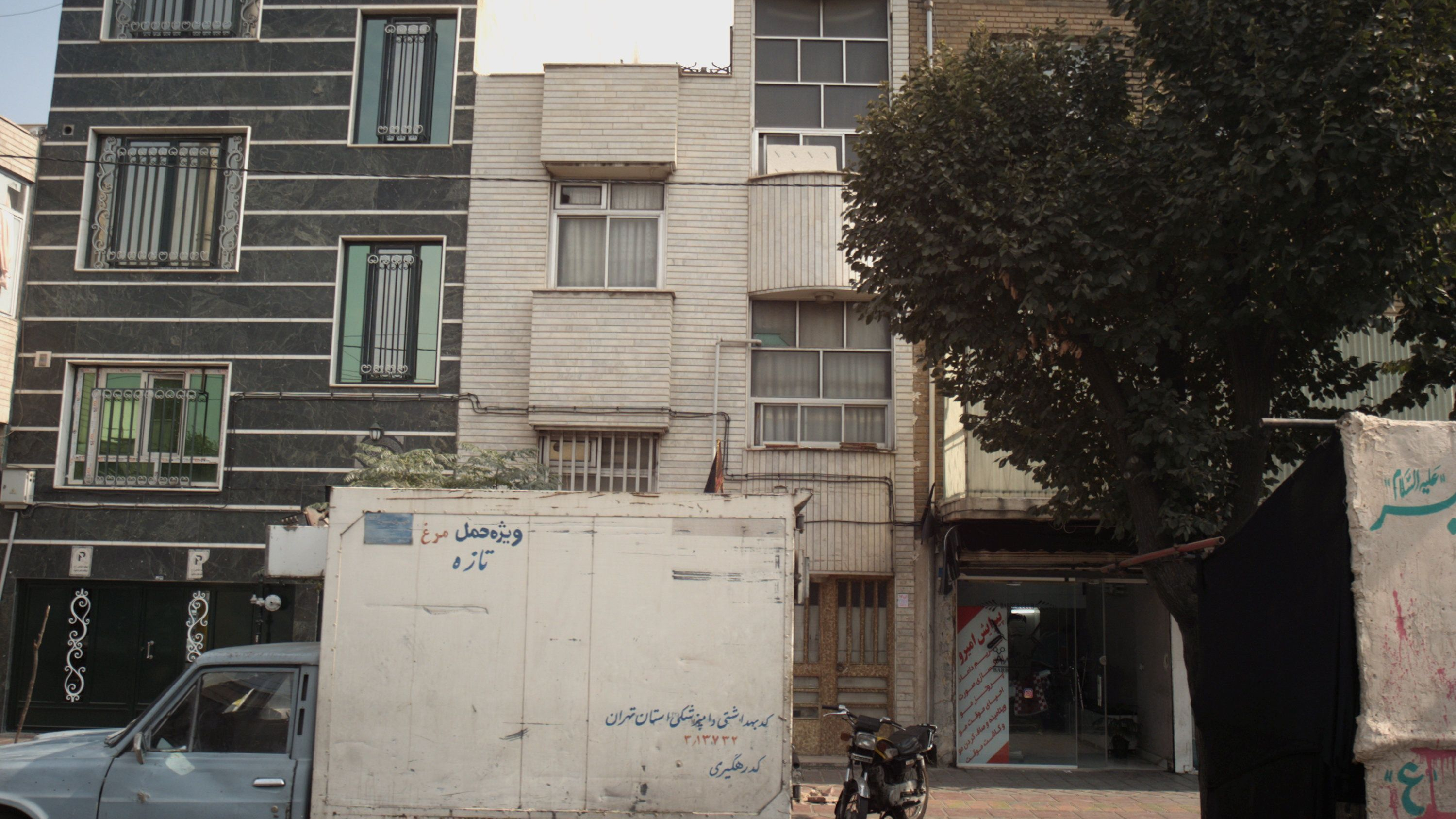 پیرایش امیرو