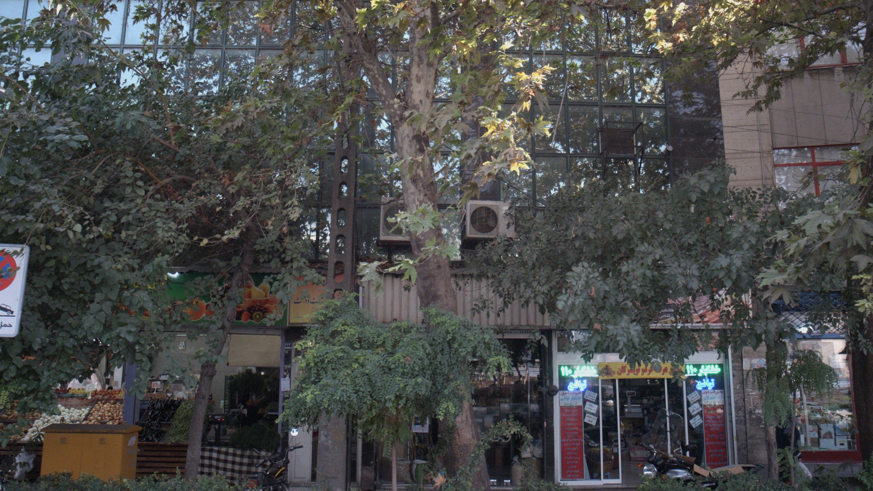 خشکبار تواضع