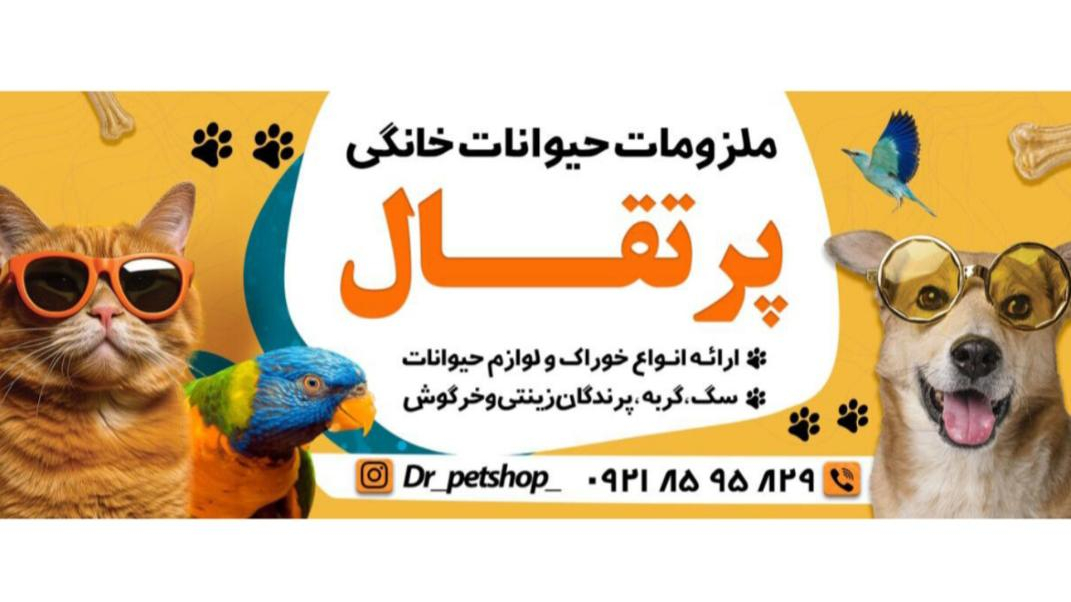 پت شاپ پرتقال