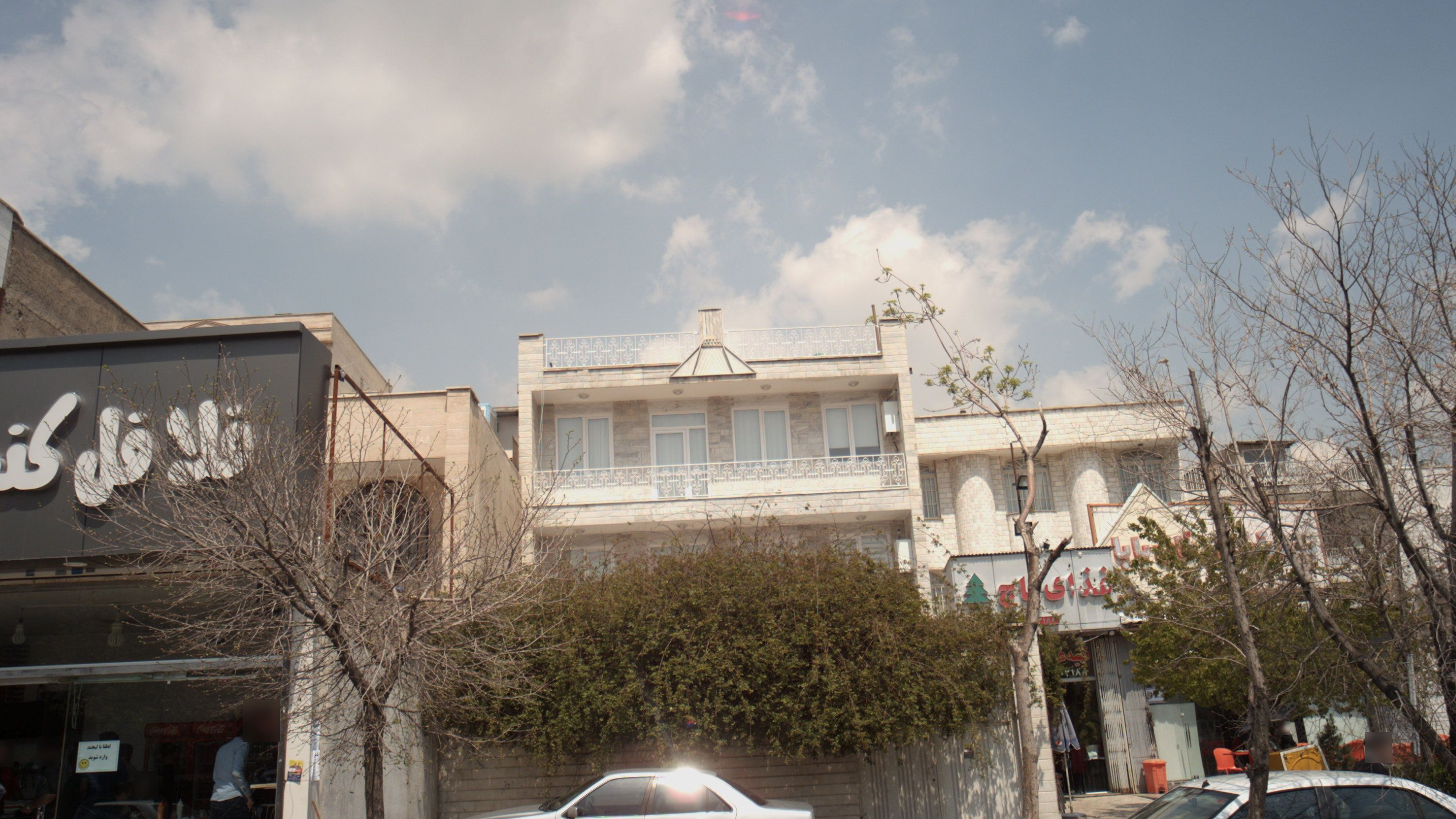 غذای کاج