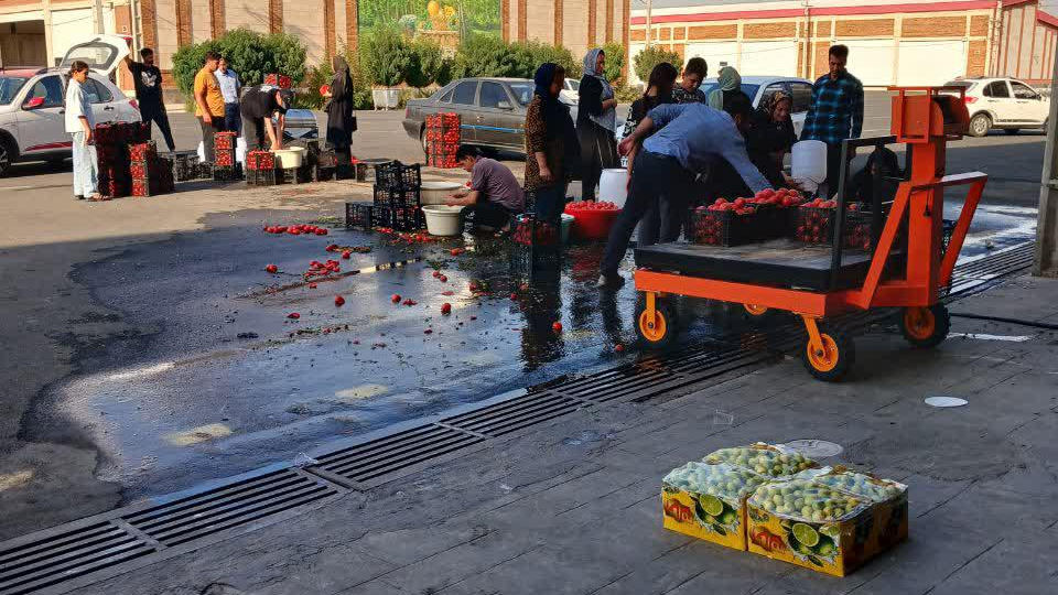 میوه و تره‌بار حامد اسدیان ایلار