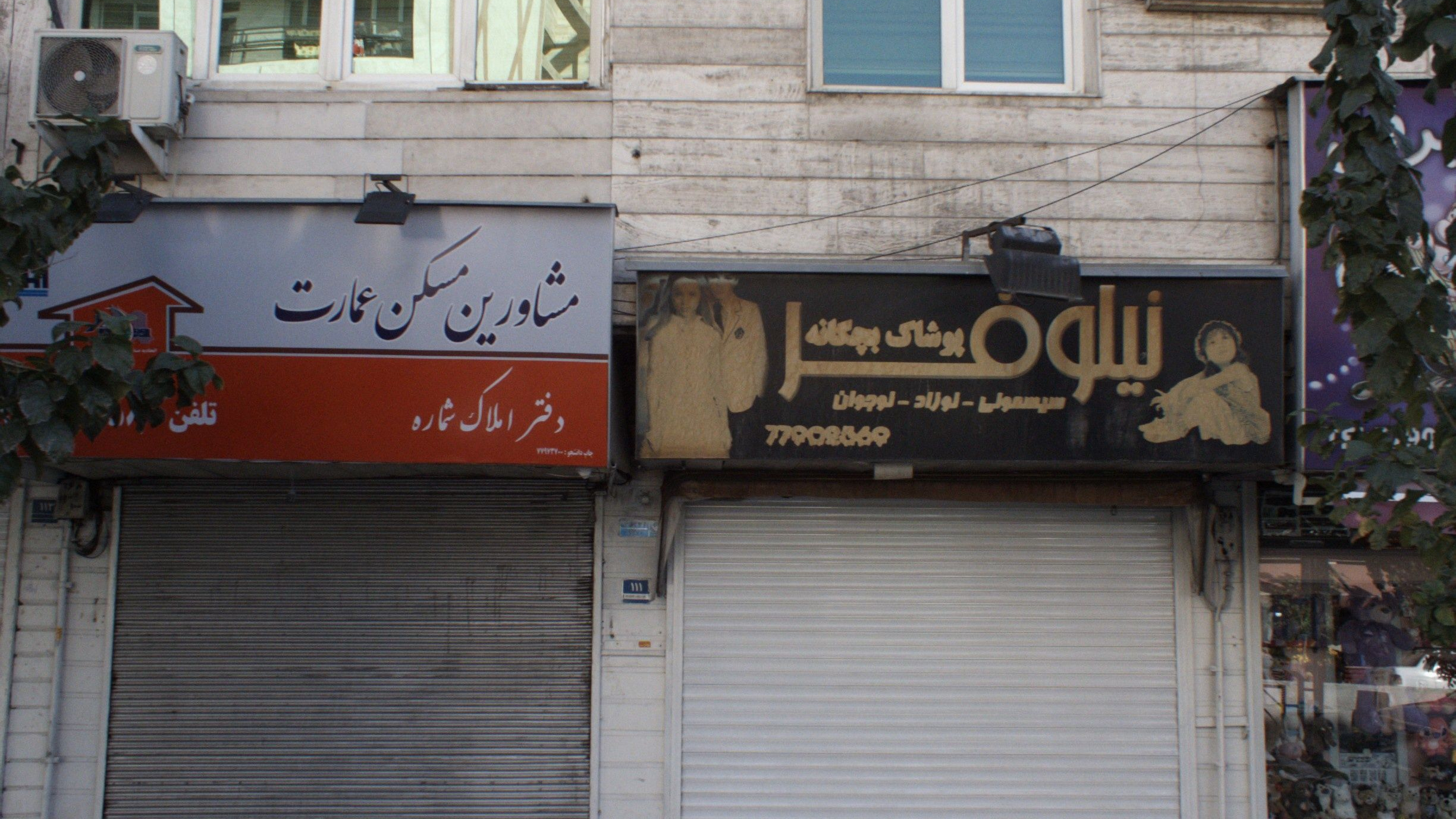 دکتر محسن شکر الهی