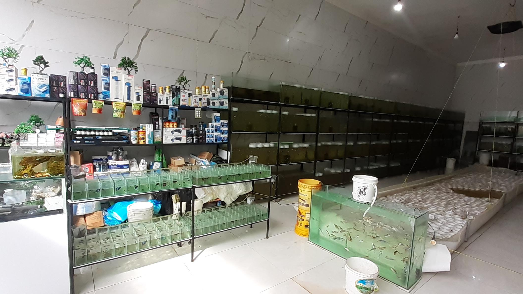 فروشگاه گلدن اروانا