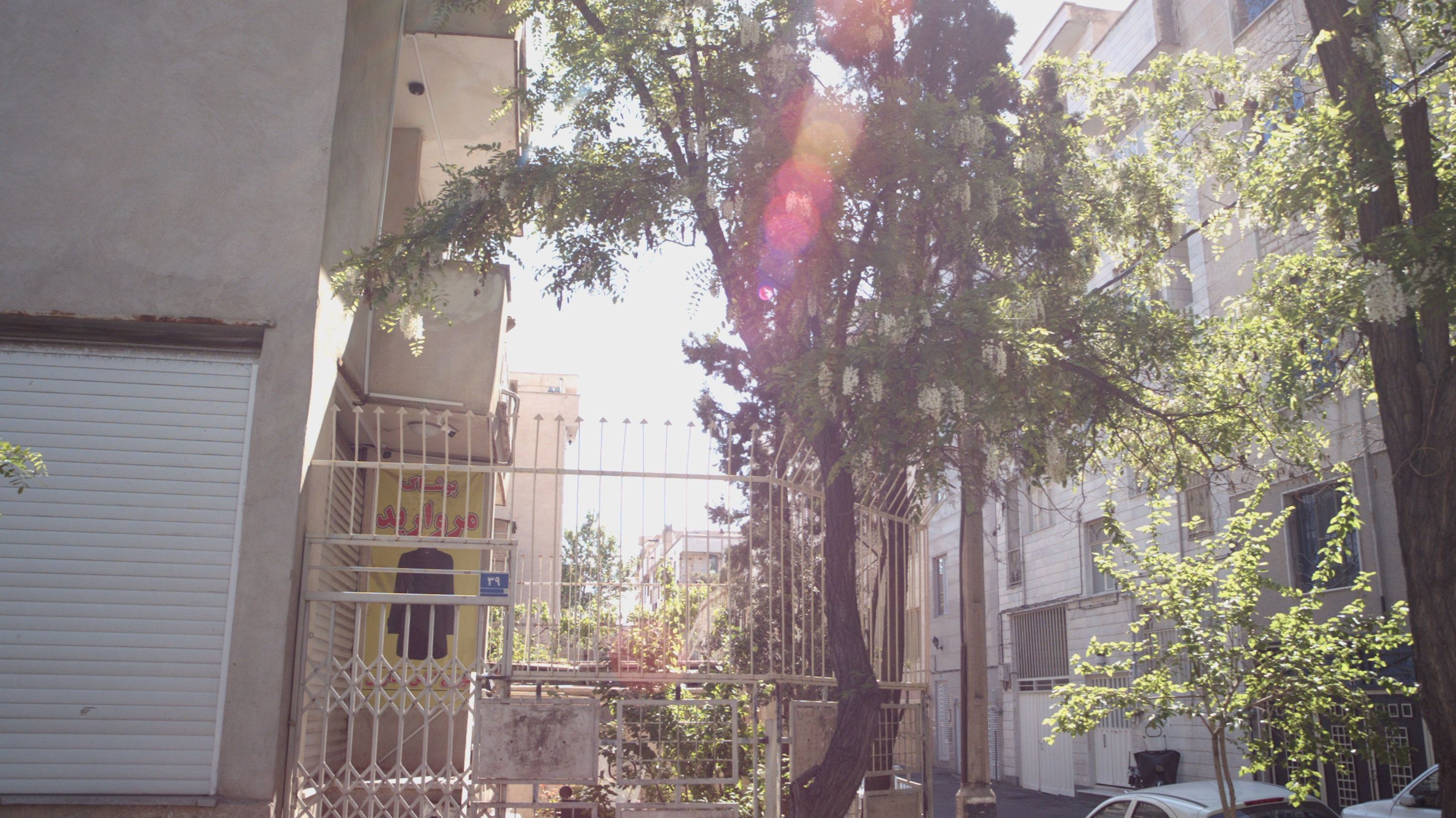 پوشاک مروارید