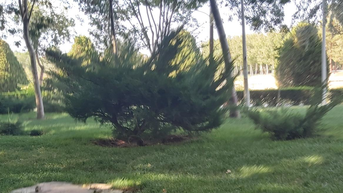 کالای برق پدیده