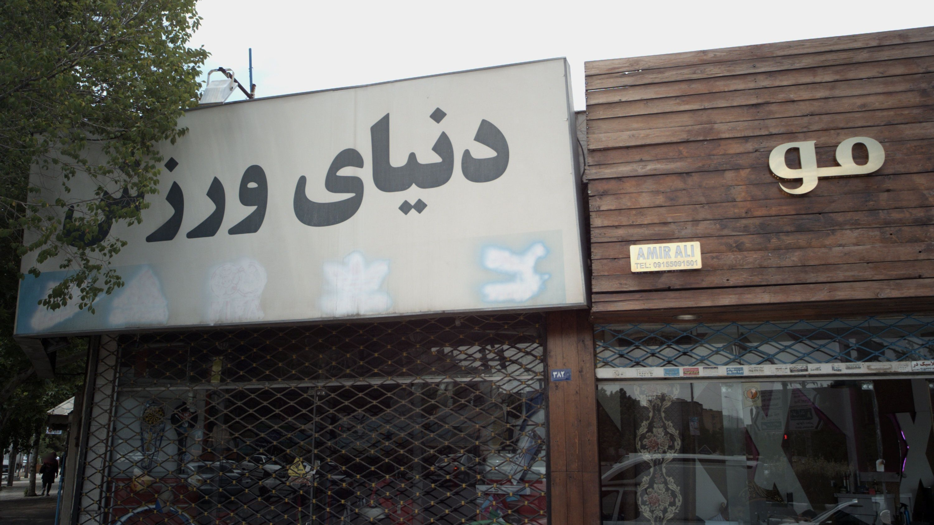 دنیای ورزش