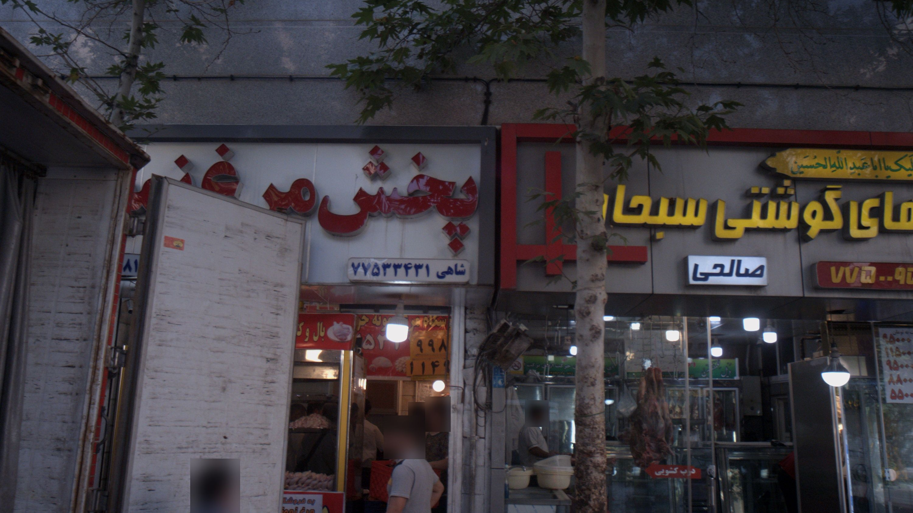 پخش مرغ نمونه