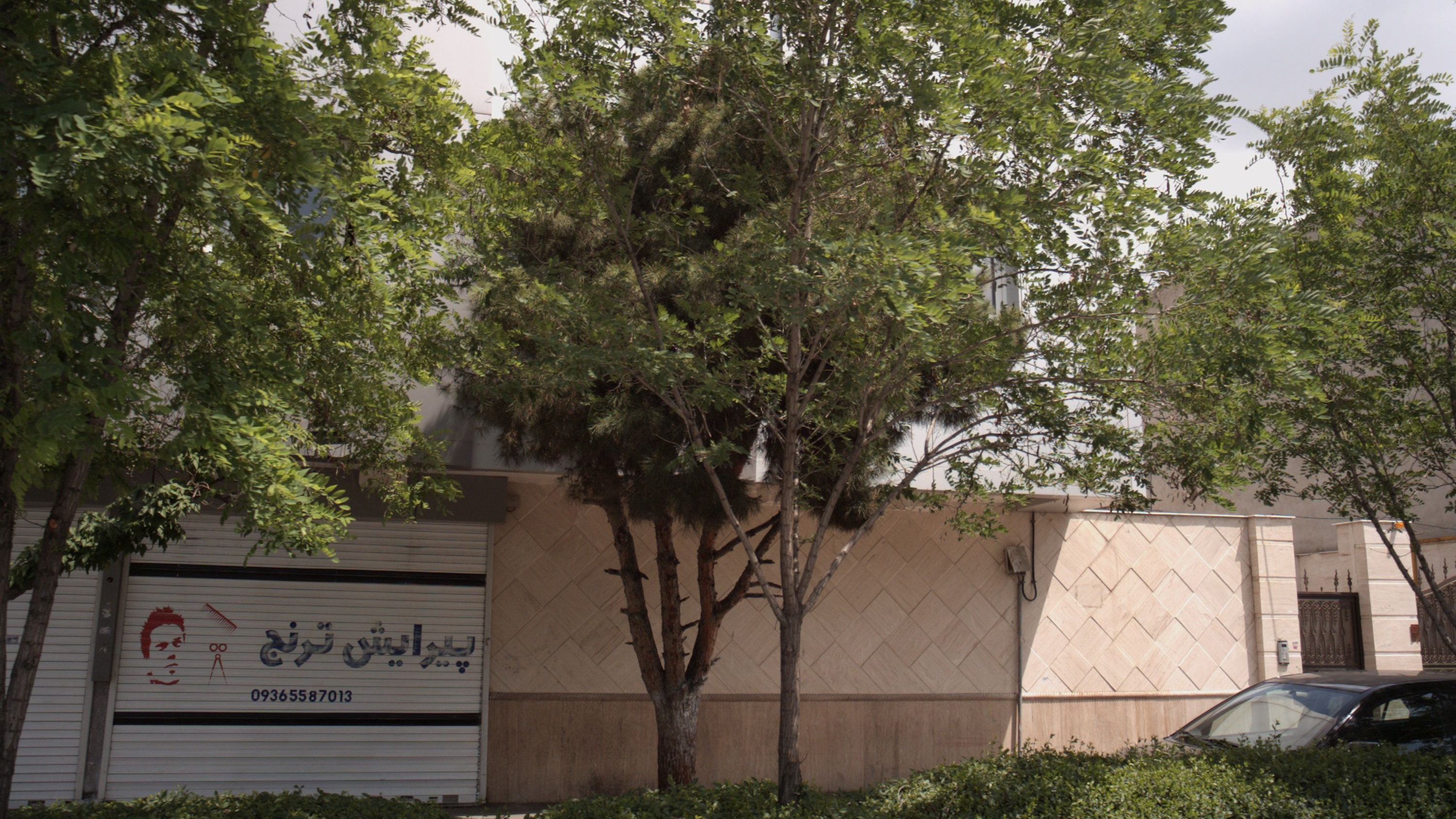 پیرایش ترنج