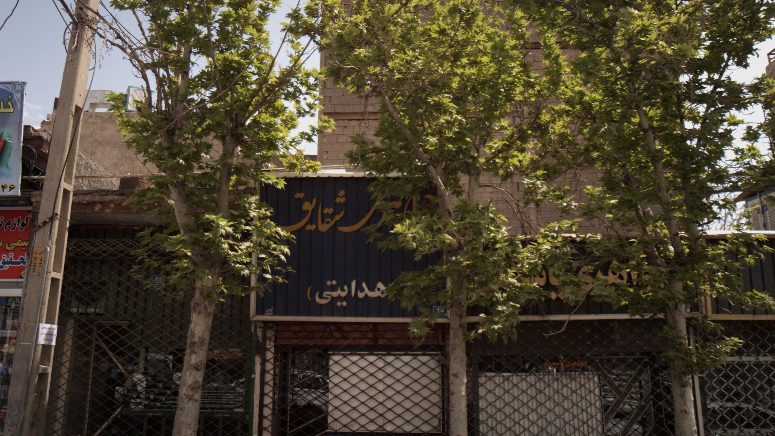 جواهری شقایق