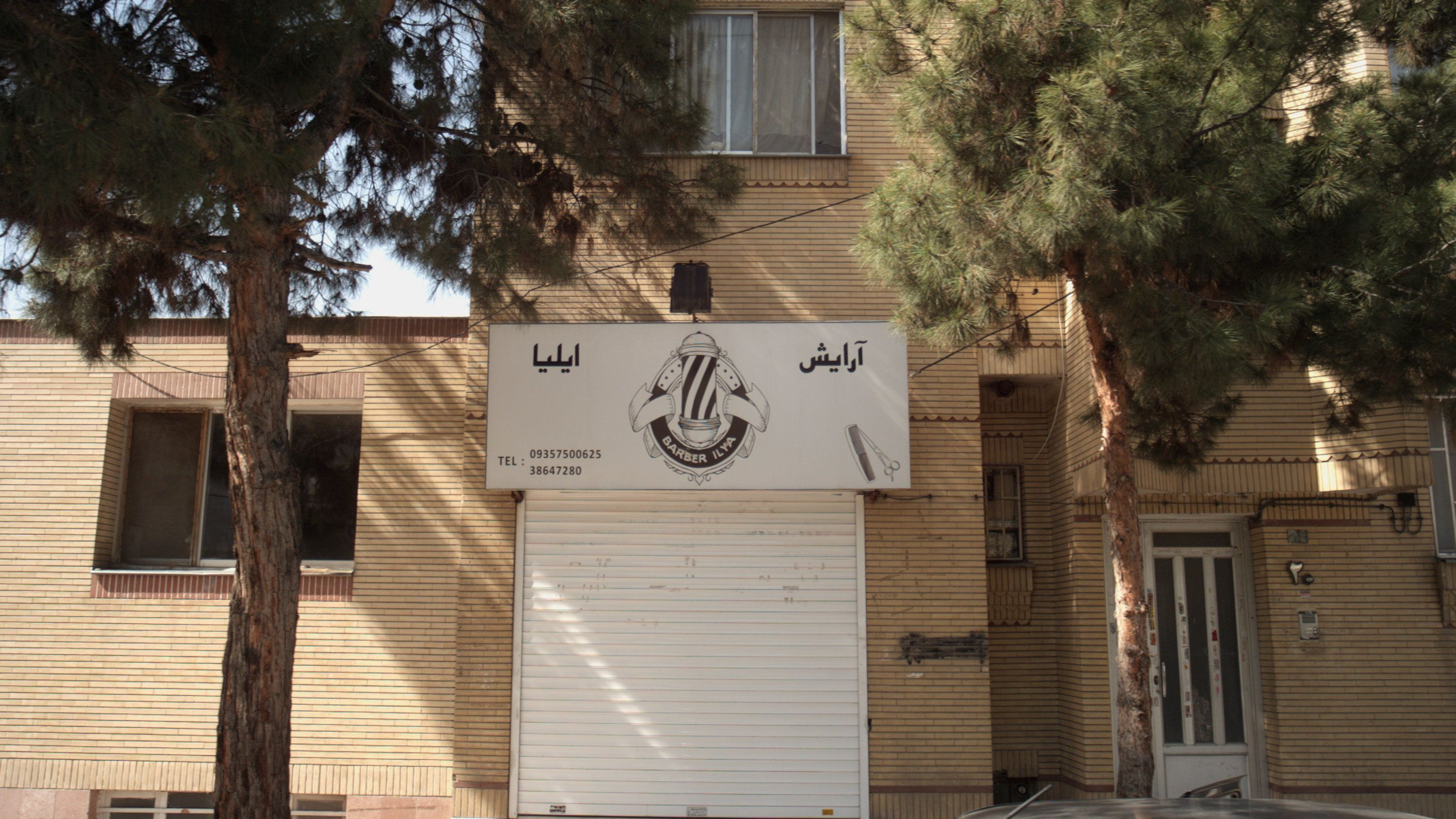 آرایش ایلیا