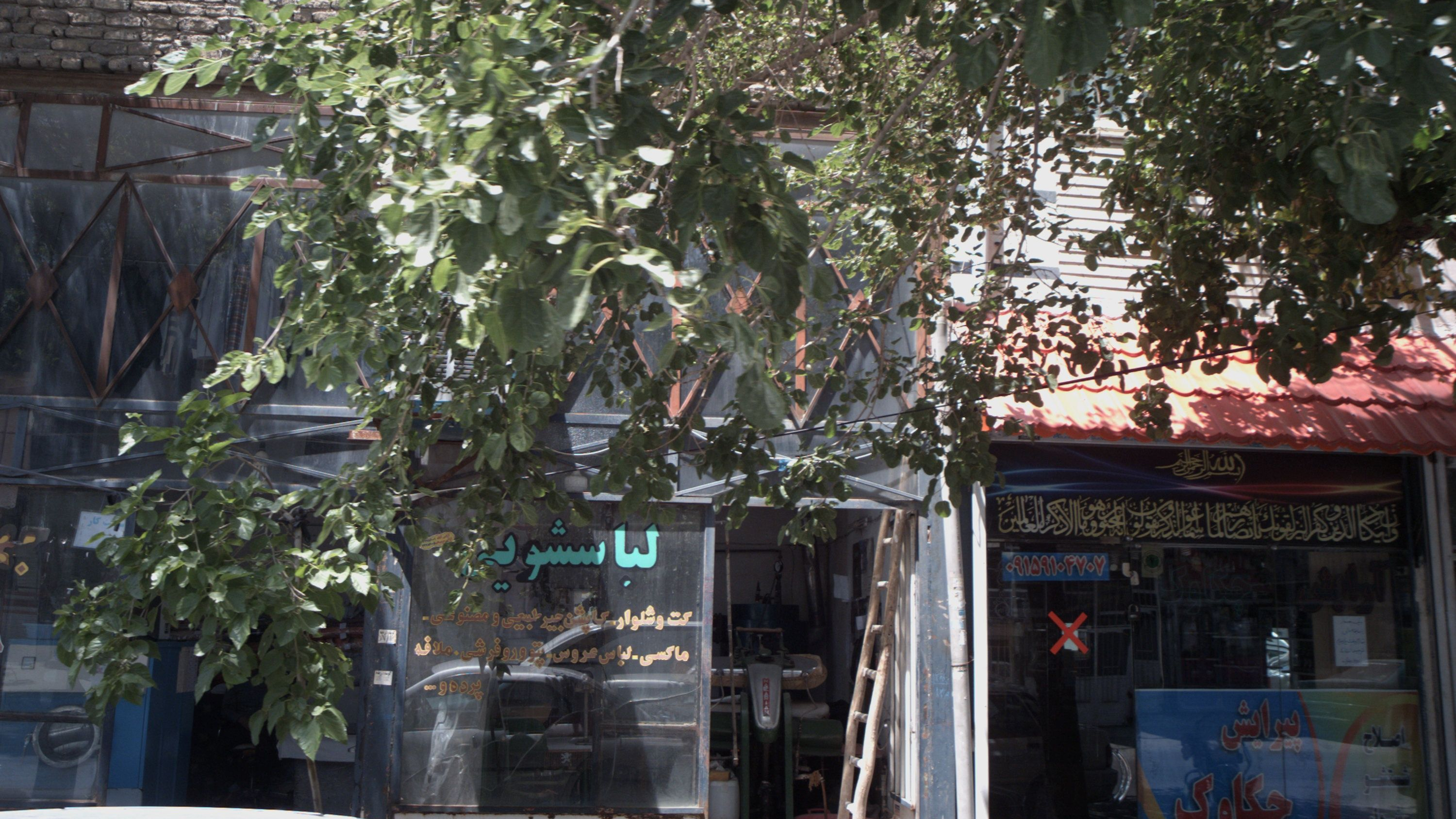 پیرایش چکاوک