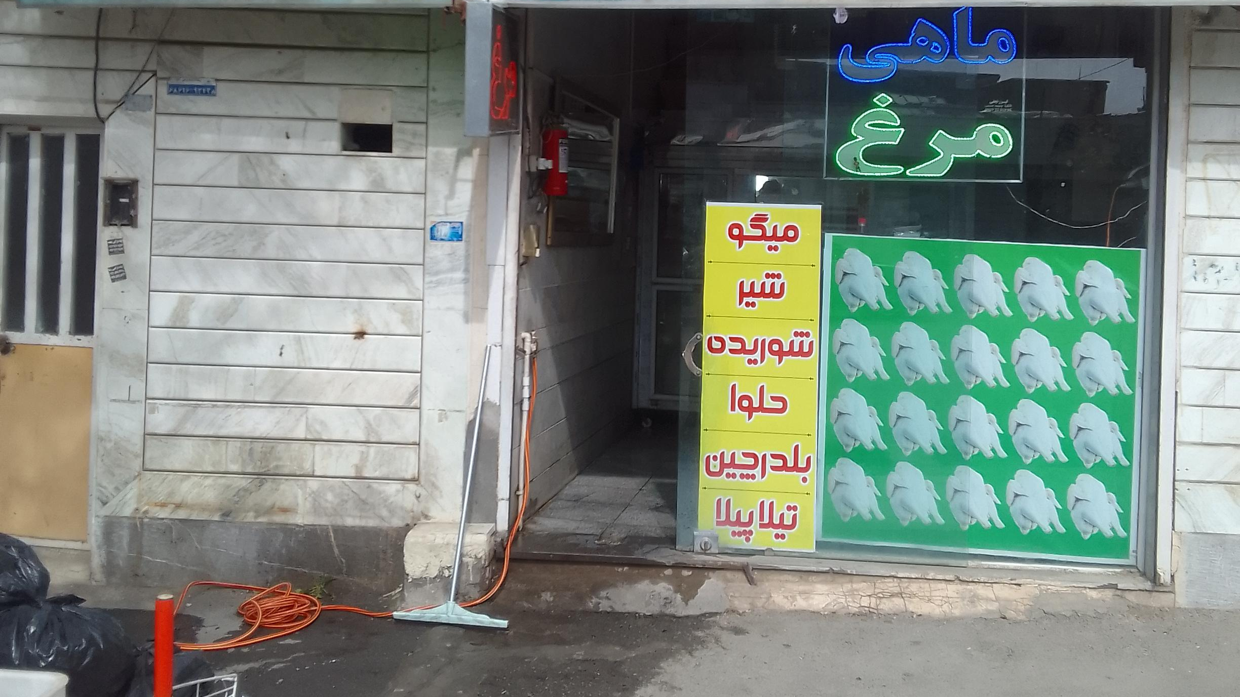 مرغ و ماهی پروتئین پائیزان