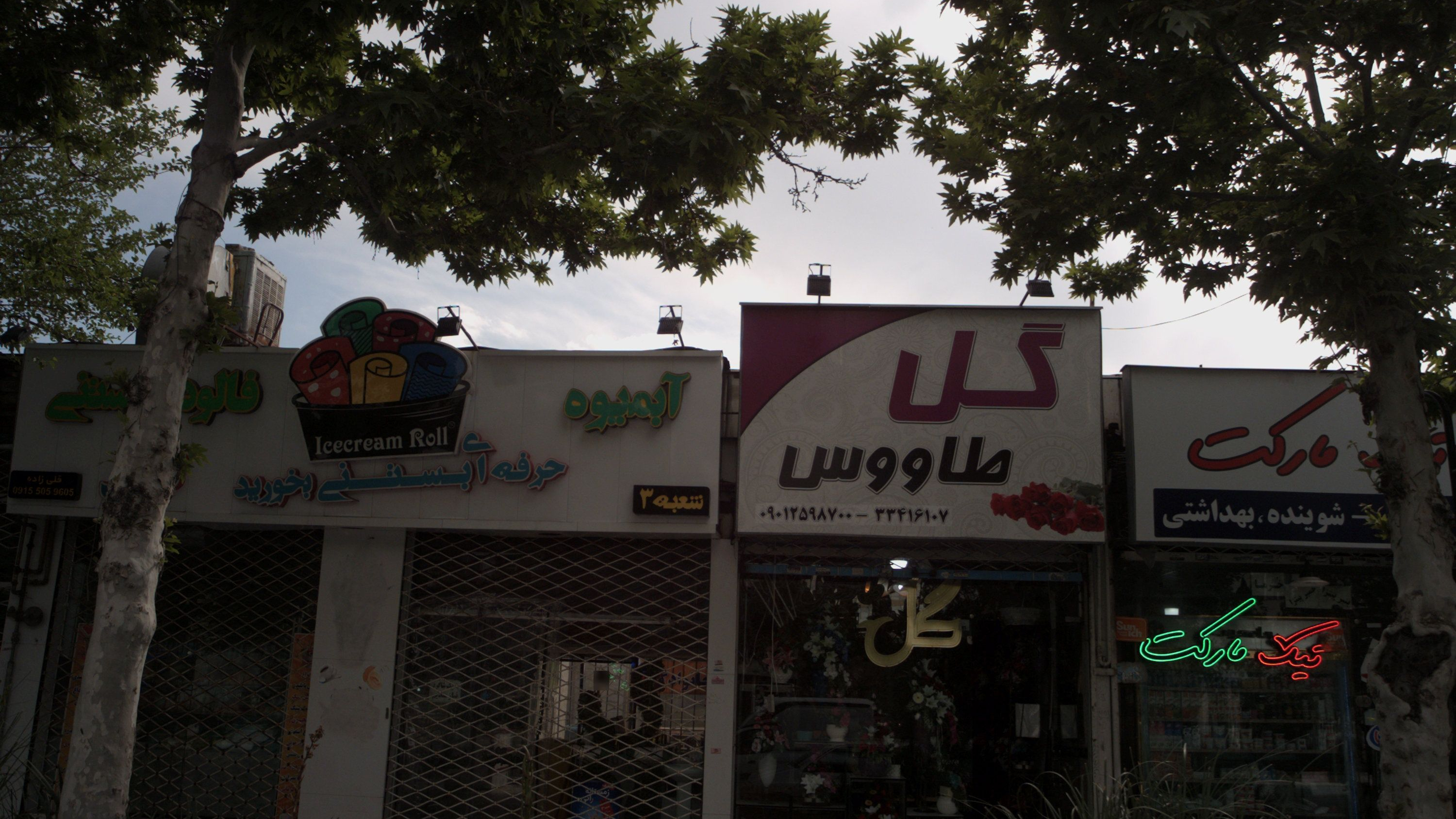 گل طاووس