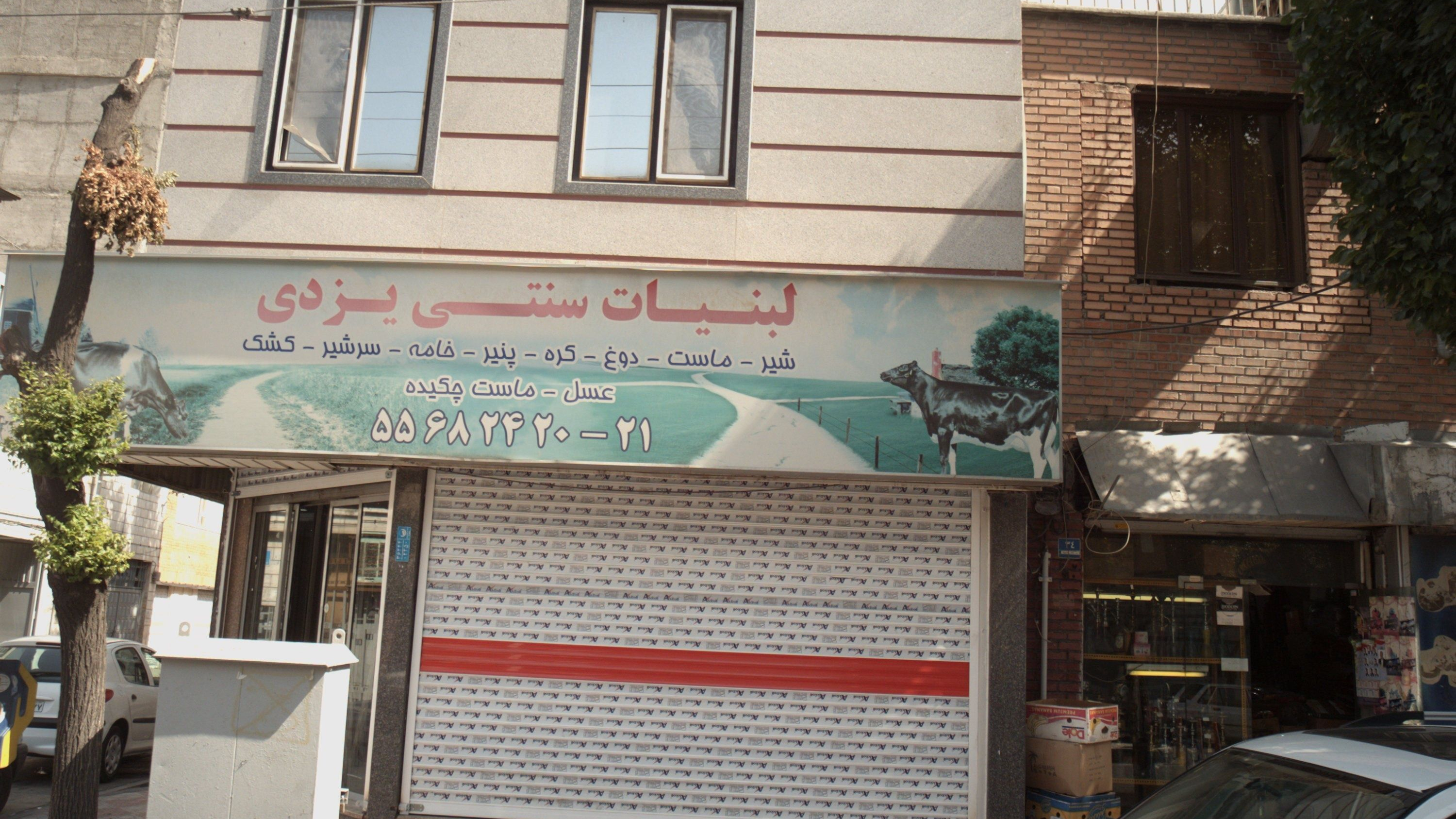 لبنیات سنتی یزدی