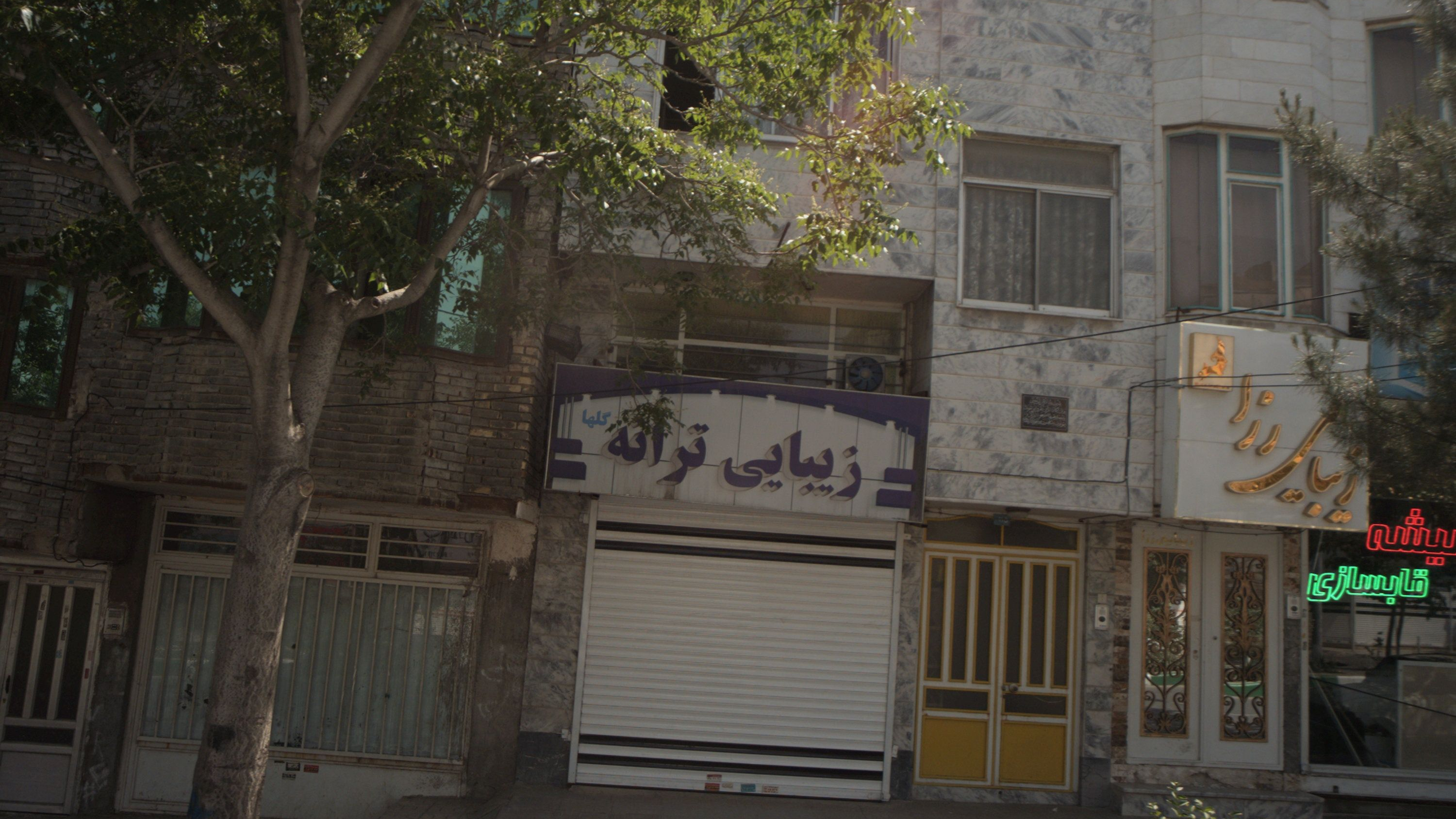 زیبایی ترانه