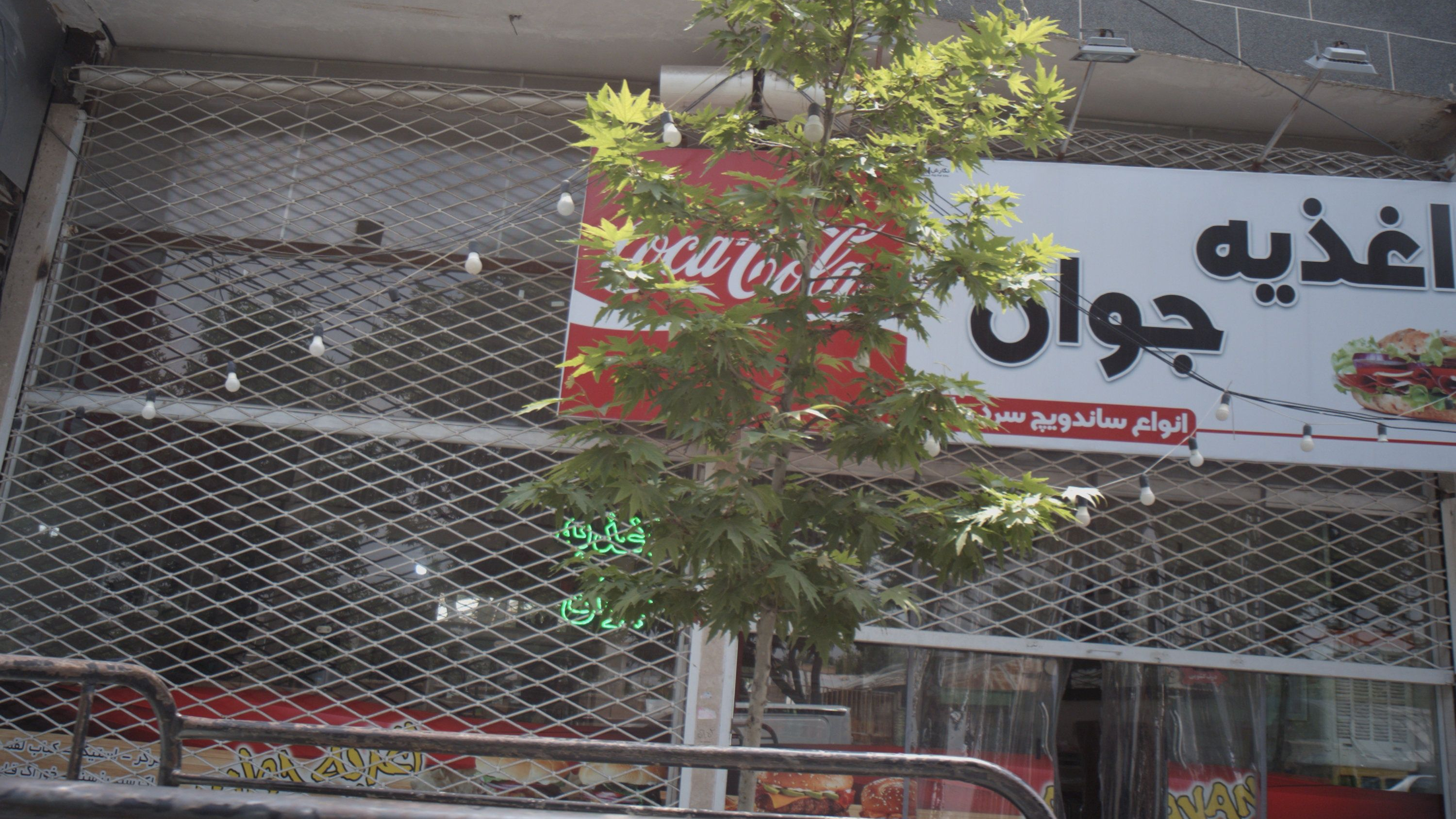 اغذیه جوان
