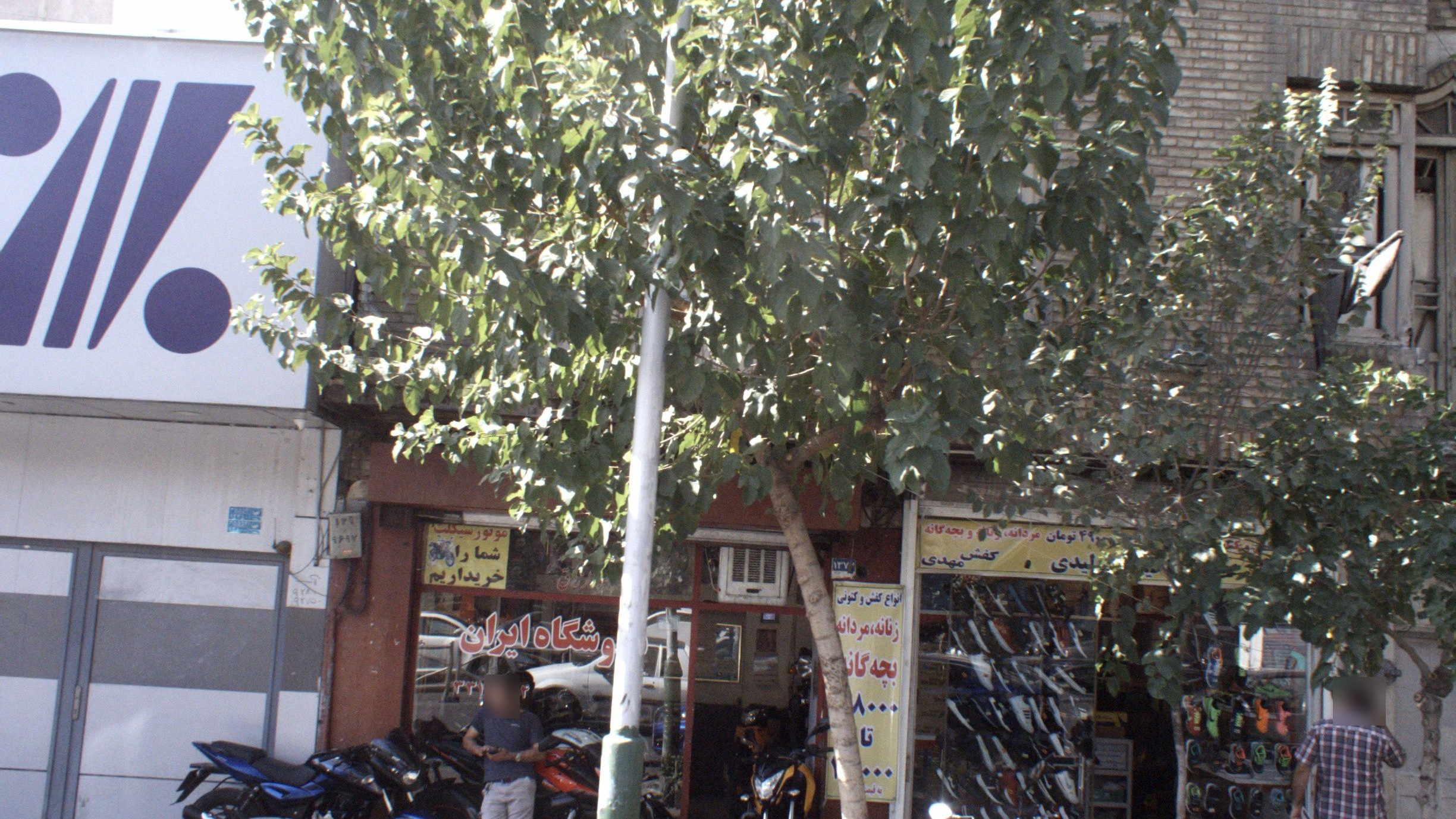 کفش مهدی