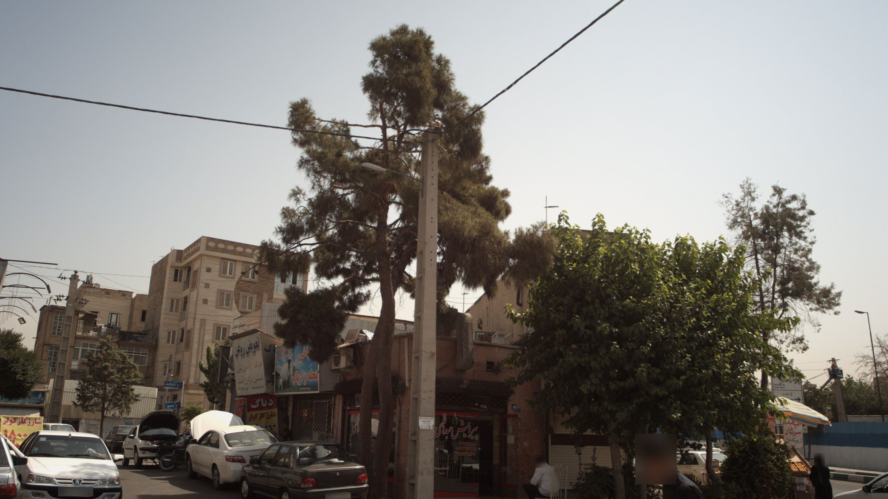 پیرایش عبدالهی