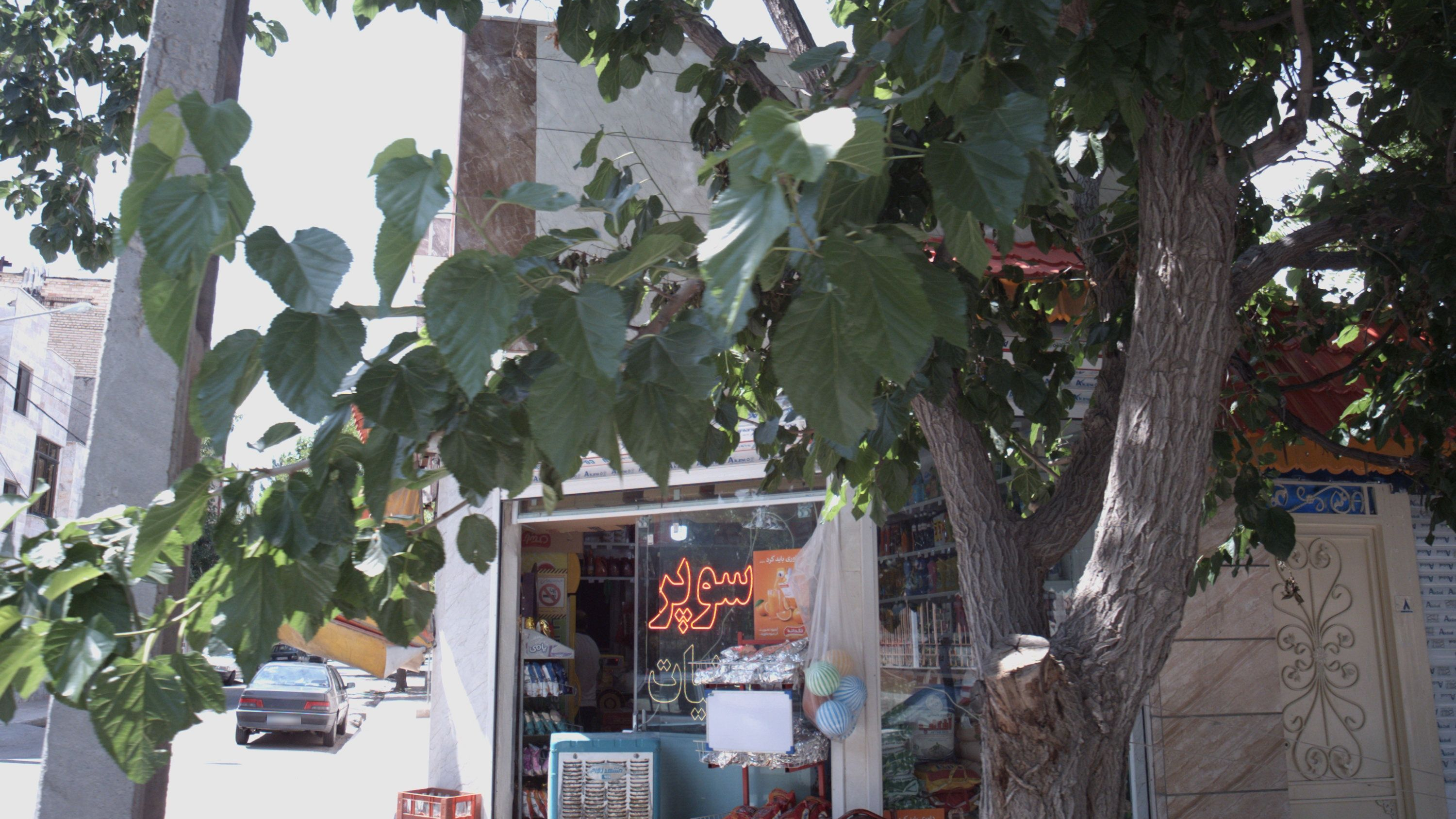 سوپر لبنیات