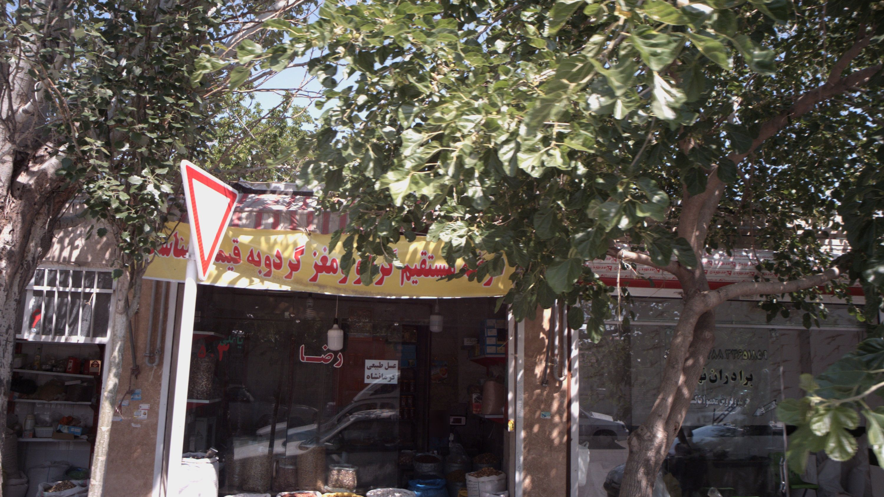 خواربار فروشی رضا