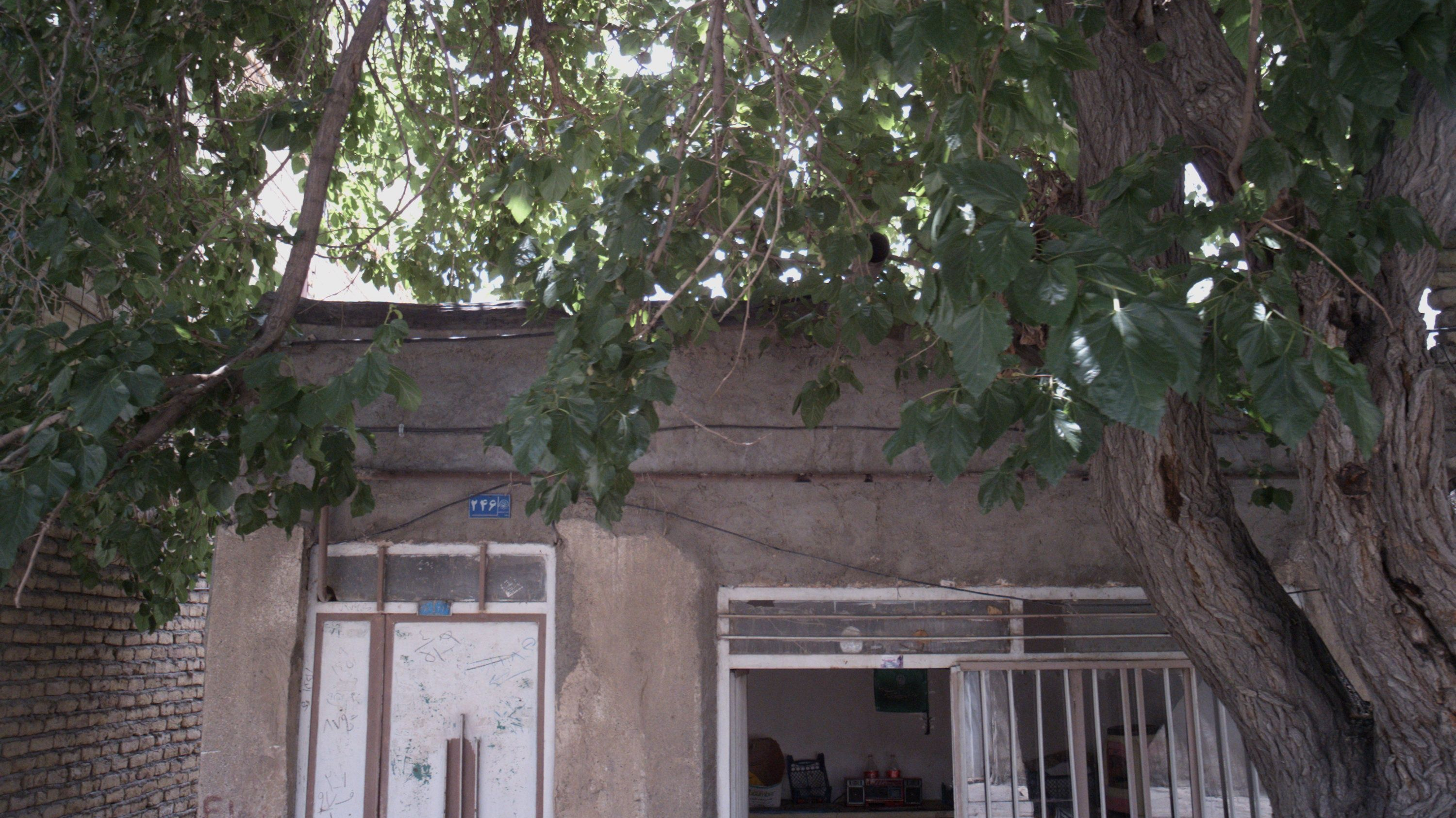 میوه فروشی