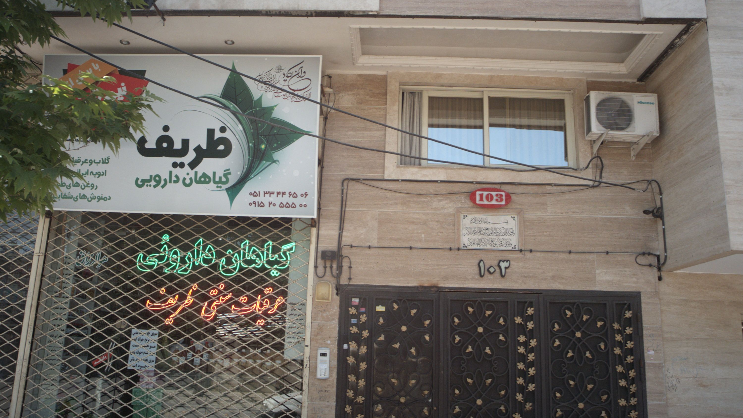گیاهان دارویی ظریف