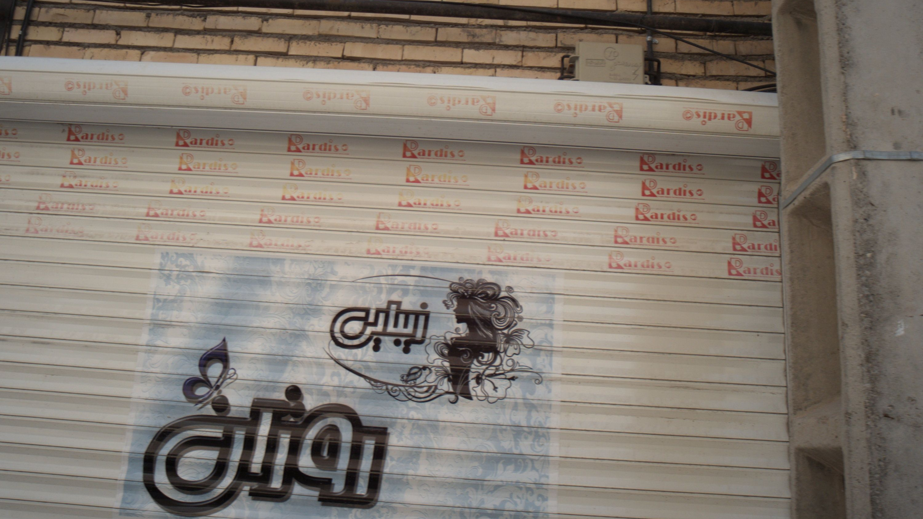 زیبایی روژان