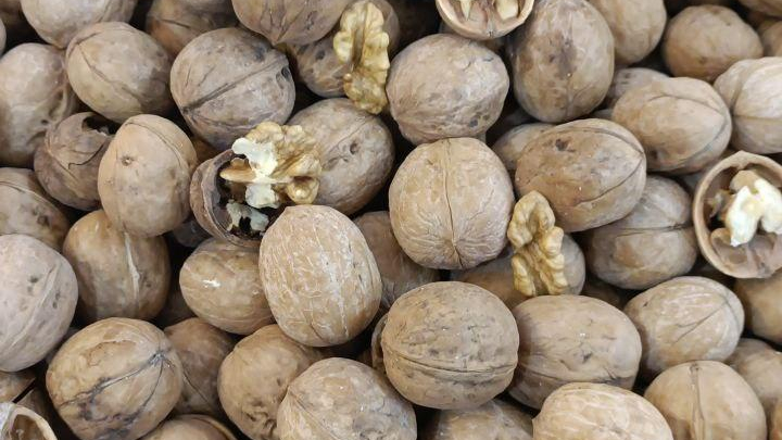 پخش عمده آجیل و خشکبار برادران عسکرپور
