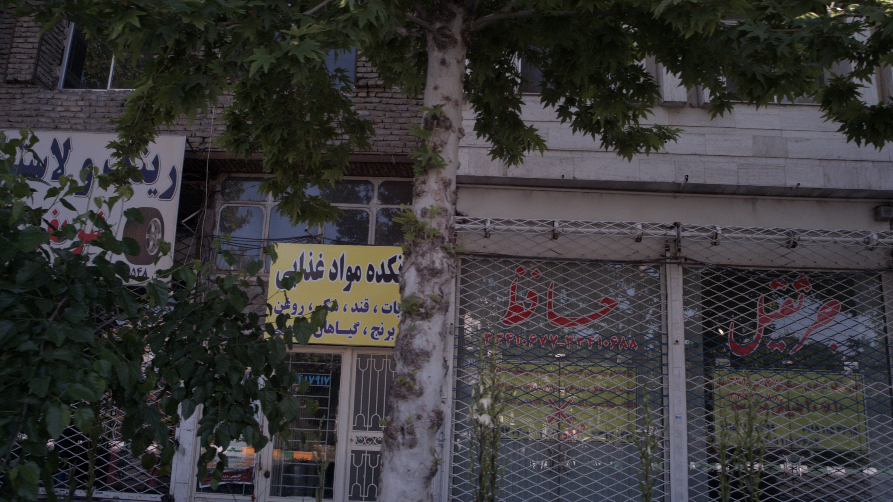 جرثقیل حافظ