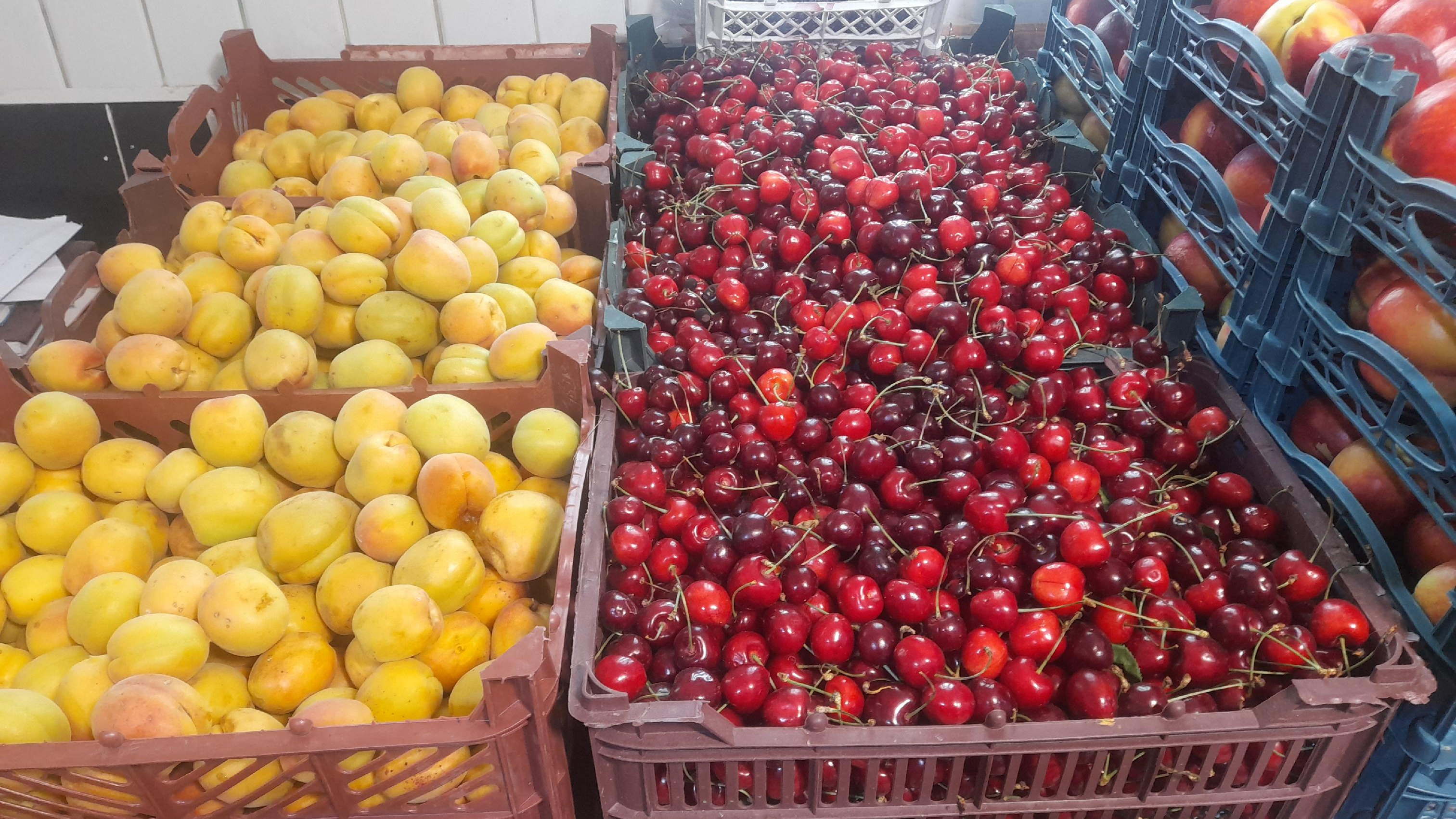 میوه فرشی میرزاپور
