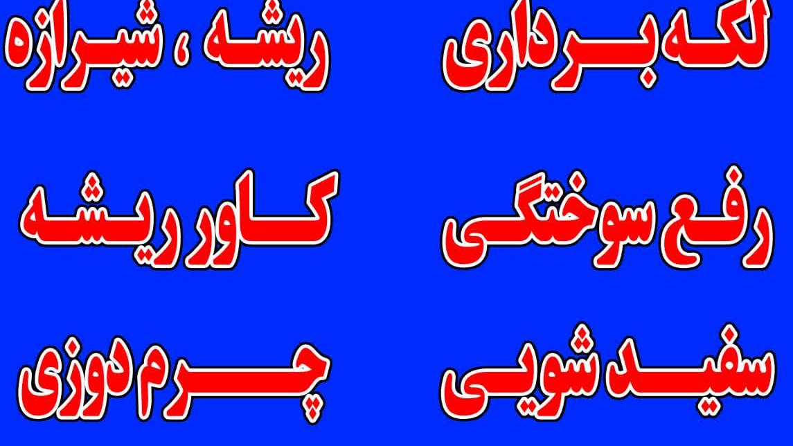 قالیشویی سادات شعبه ۶